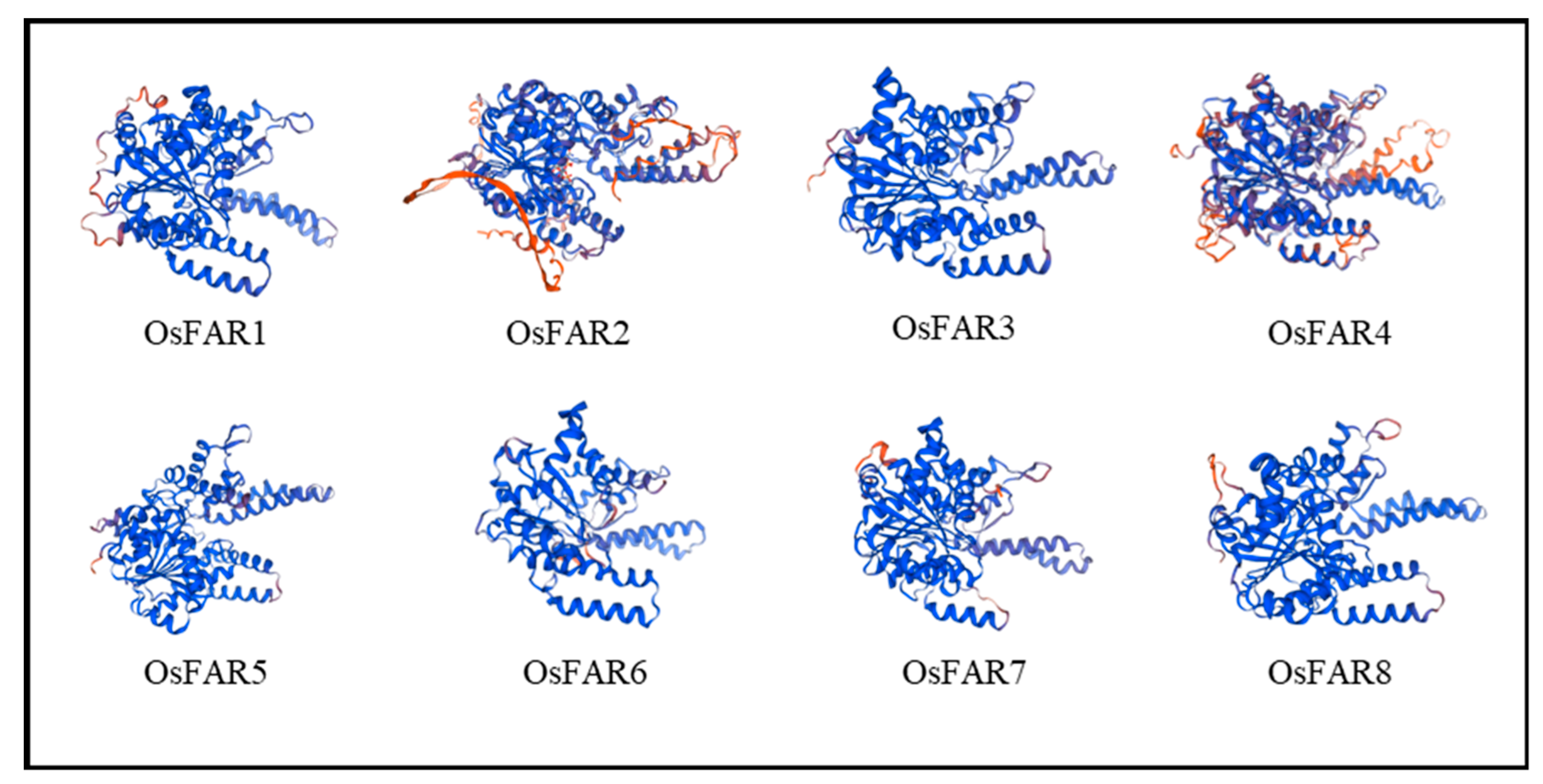 Plants 13 01010 g001