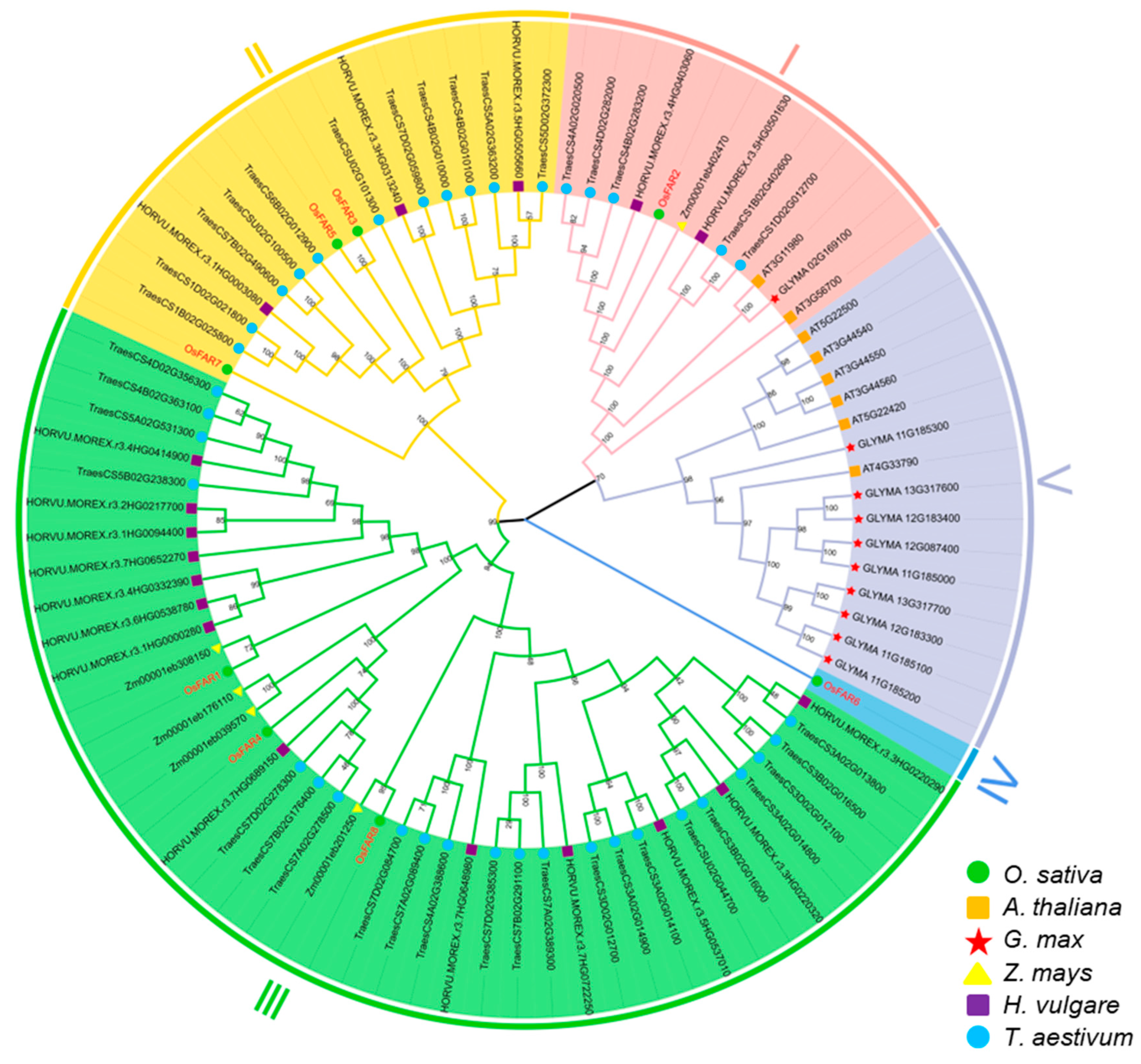 Plants 13 01010 g002