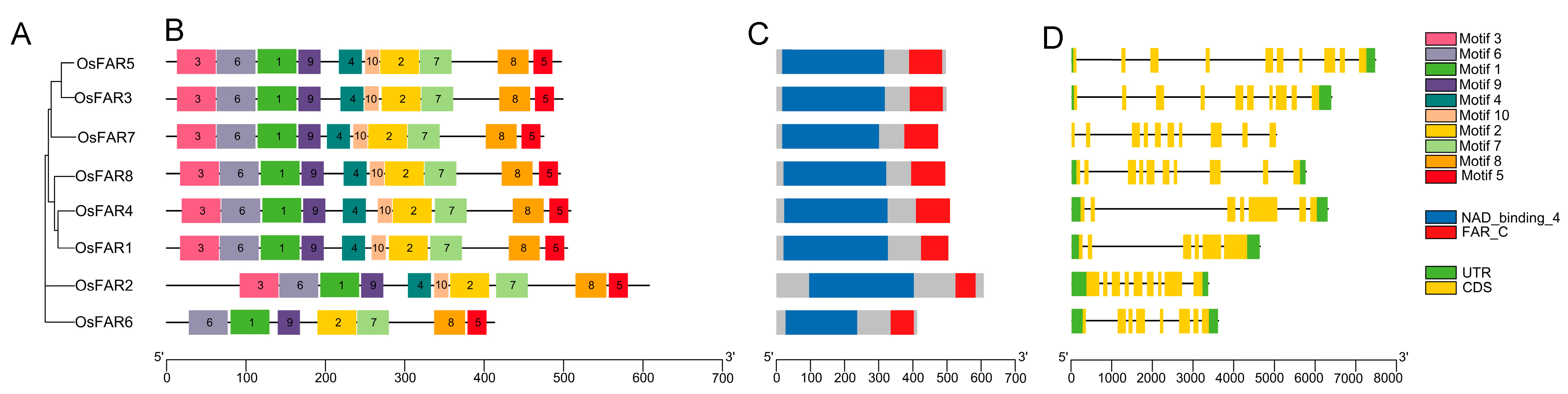 Plants 13 01010 g003
