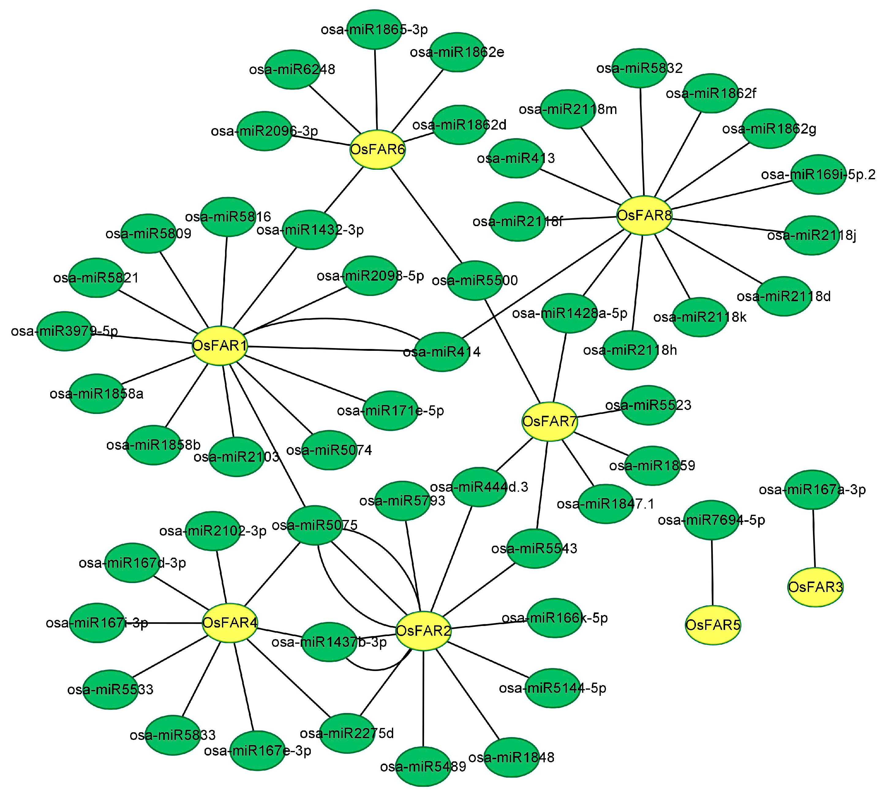 Plants 13 01010 g006