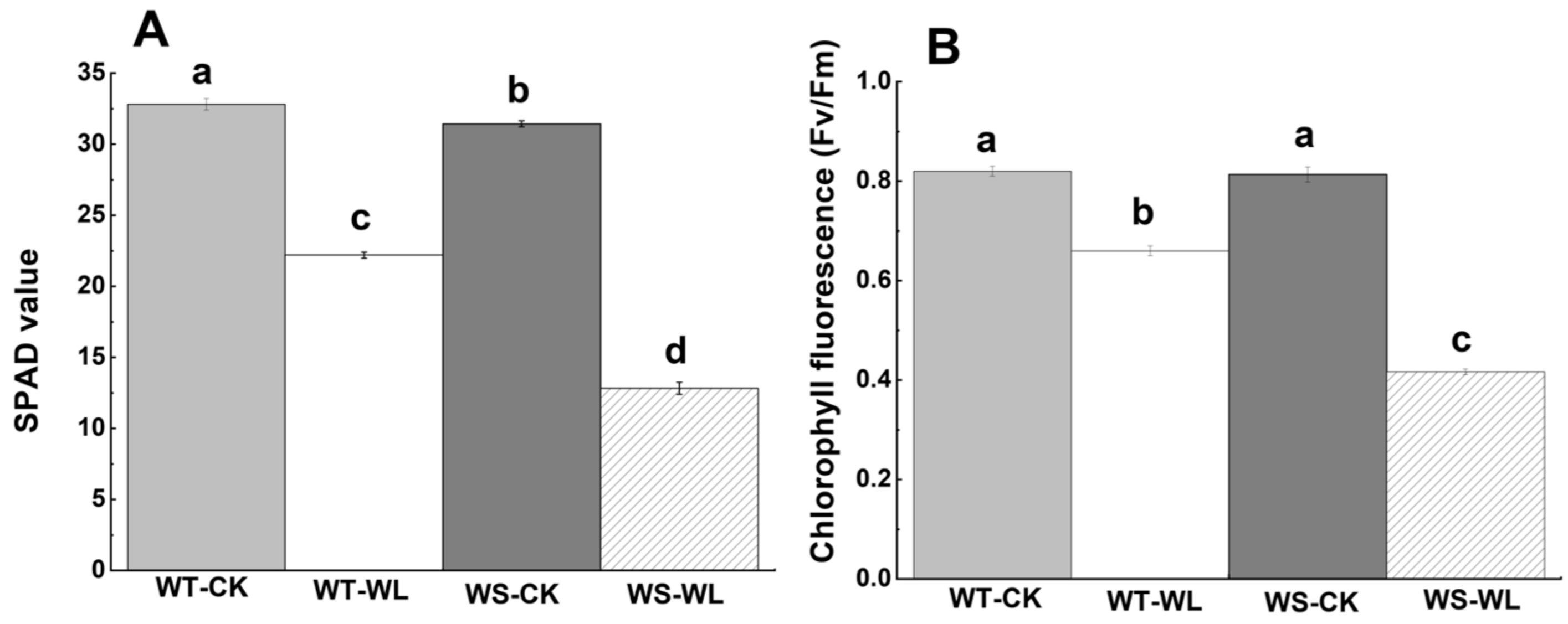 Plants 13 01011 g002