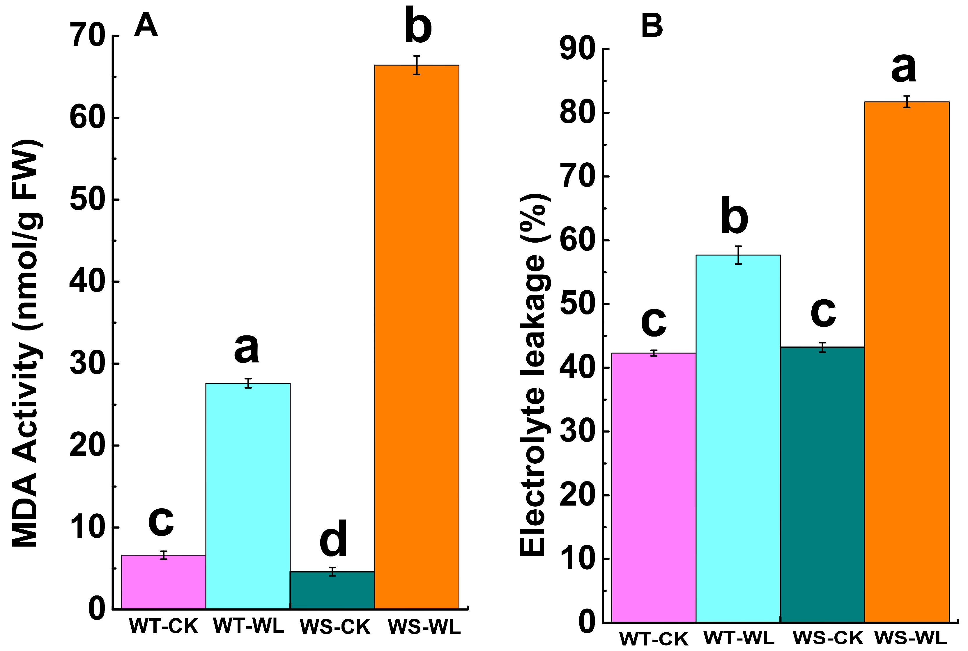 Plants 13 01011 g005