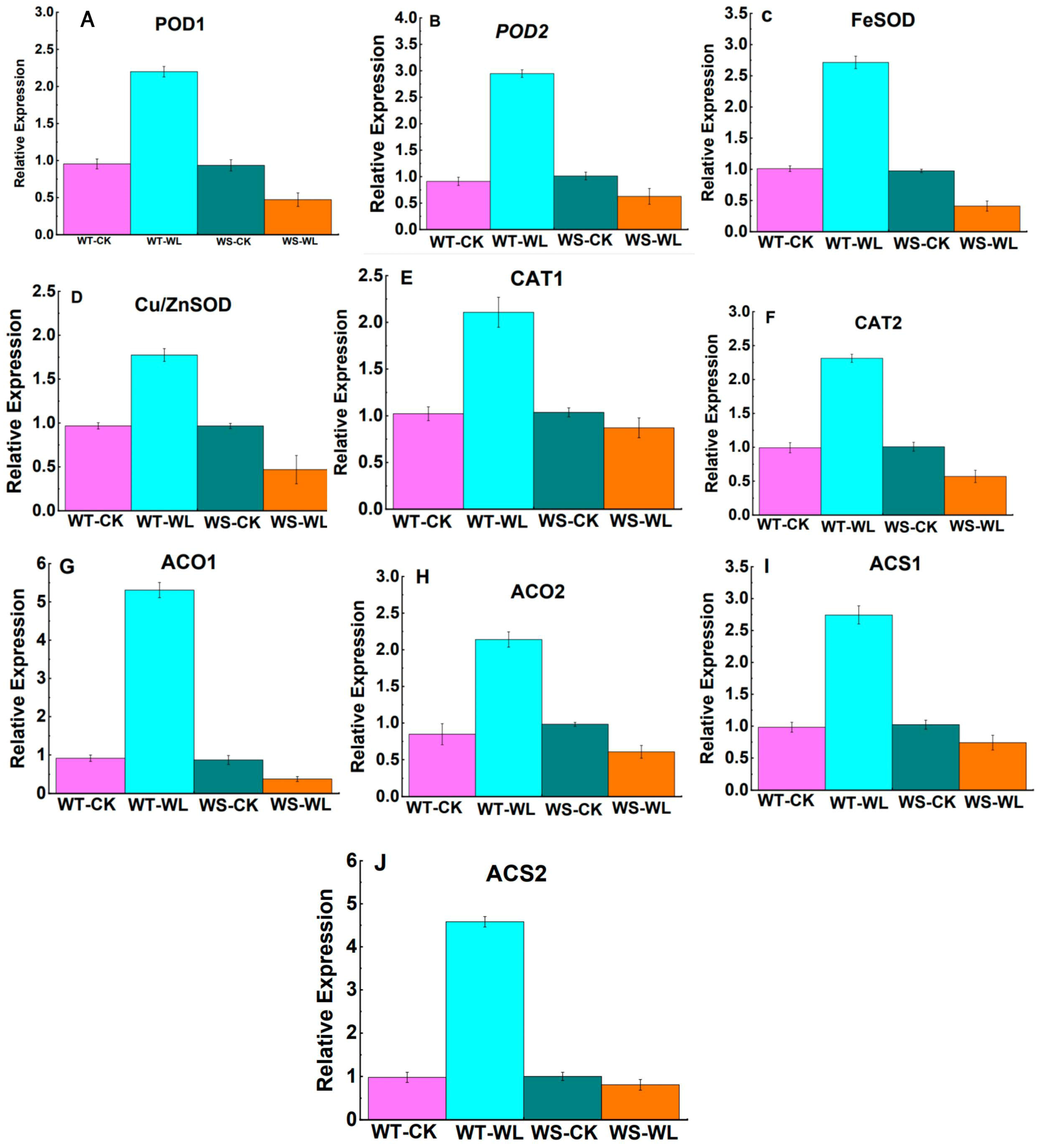 Plants 13 01011 g008