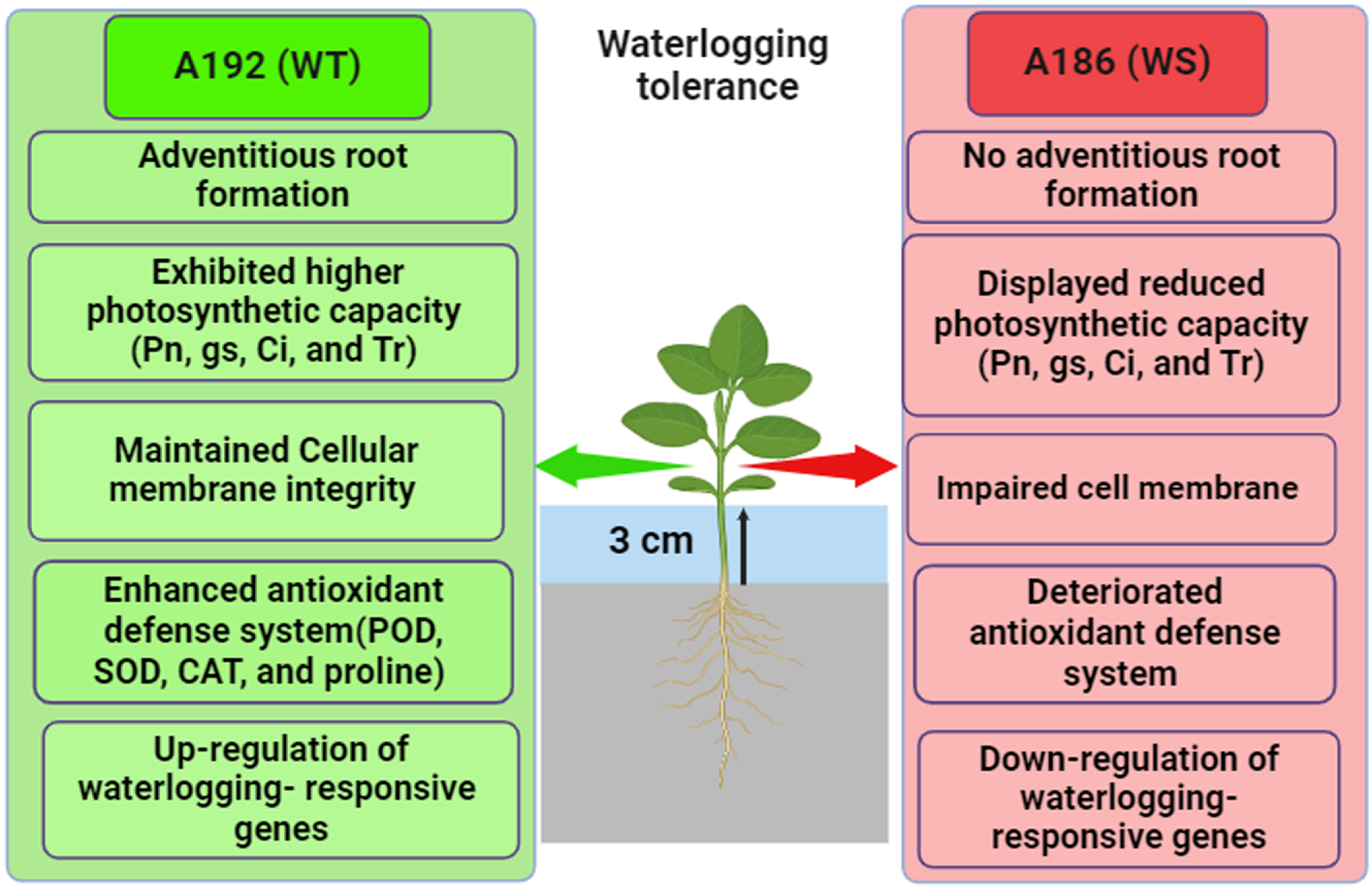 Plants 13 01011 g009