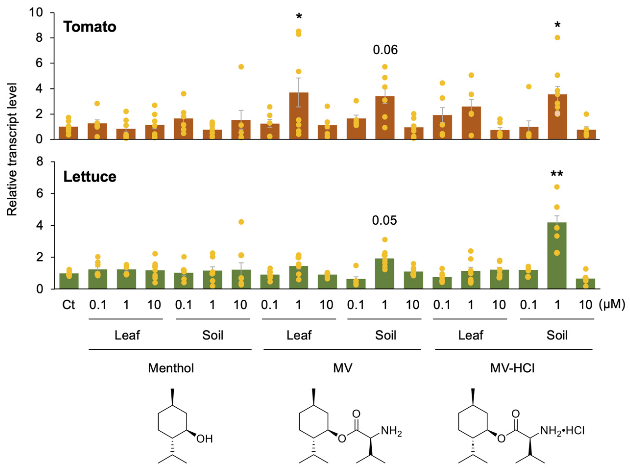 Plants 13 01015 g001