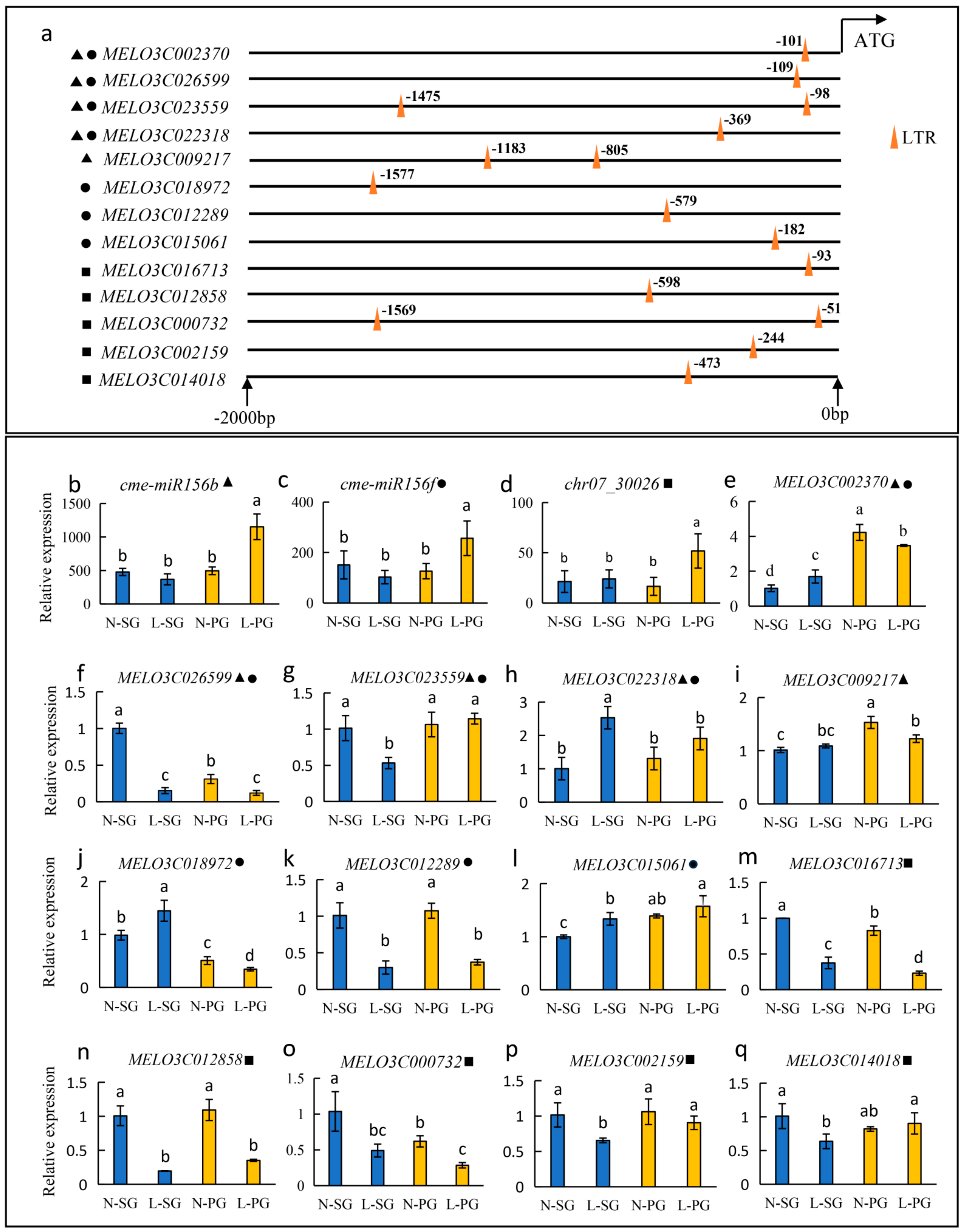 Plants 13 01016 g005