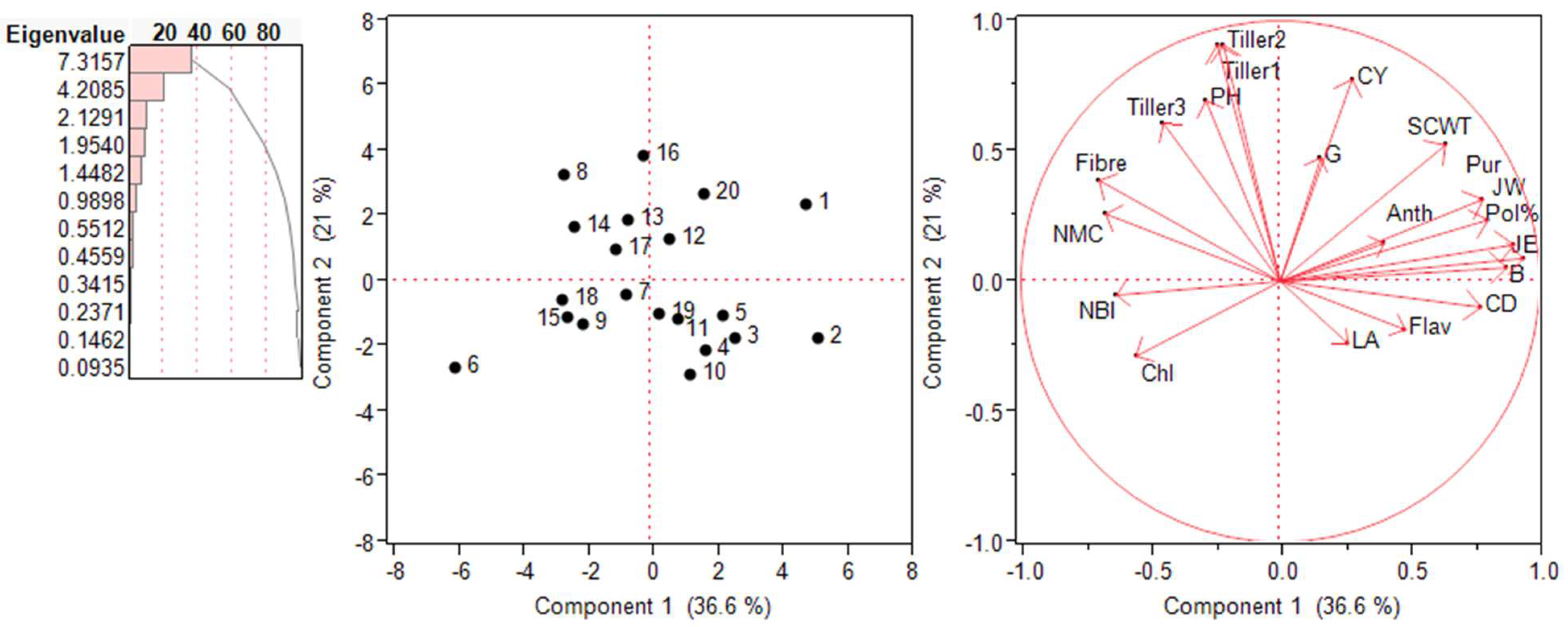 Plants 13 01023 g006