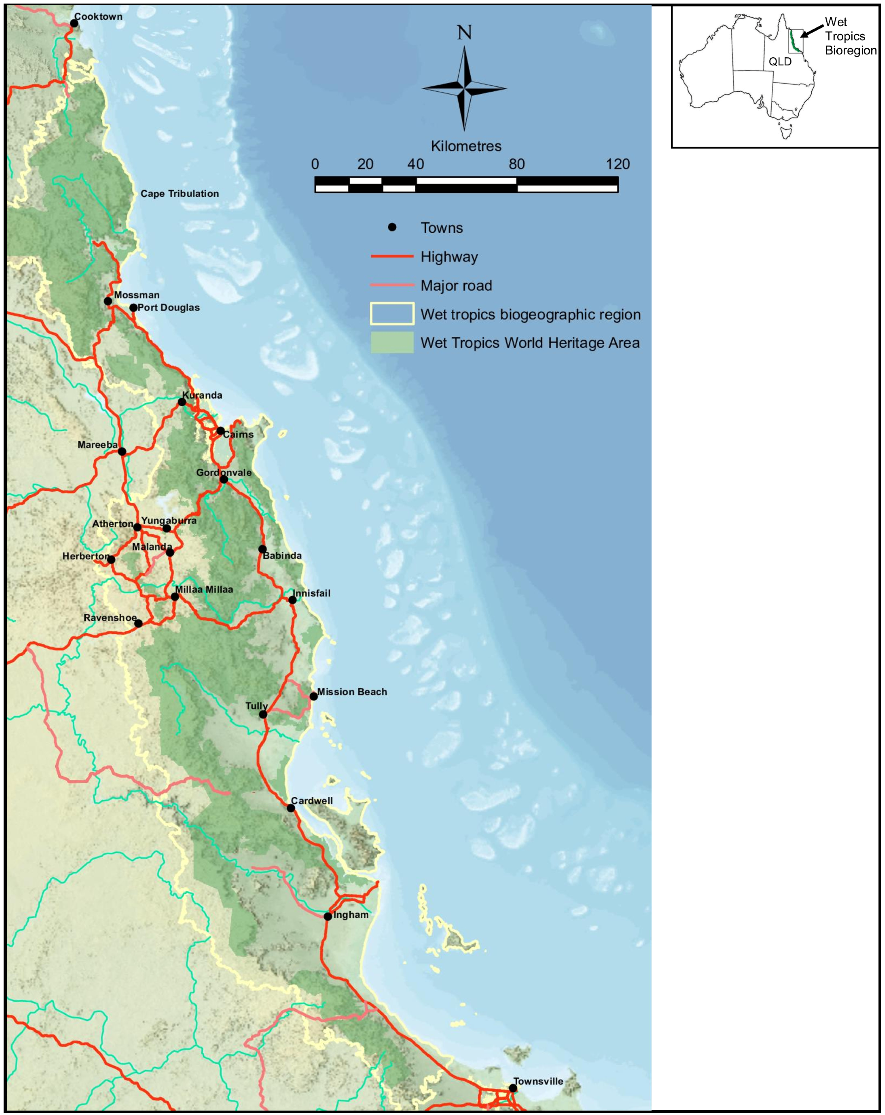 Plants 13 01024 g001