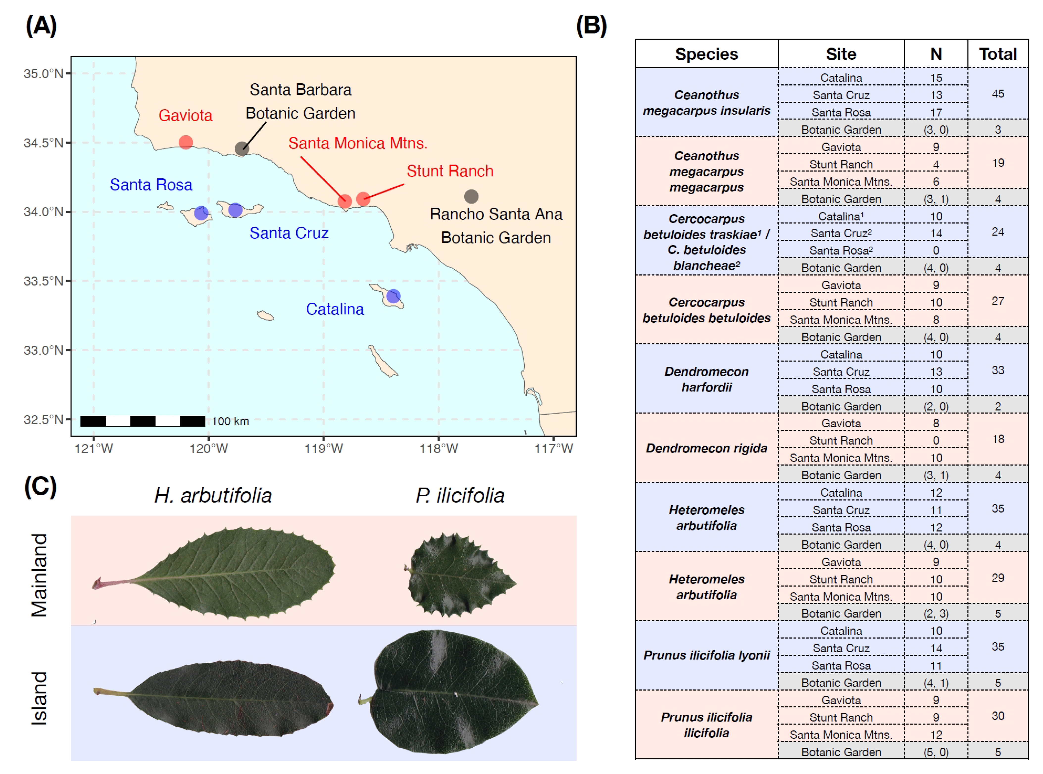 Plants 13 01026 g001