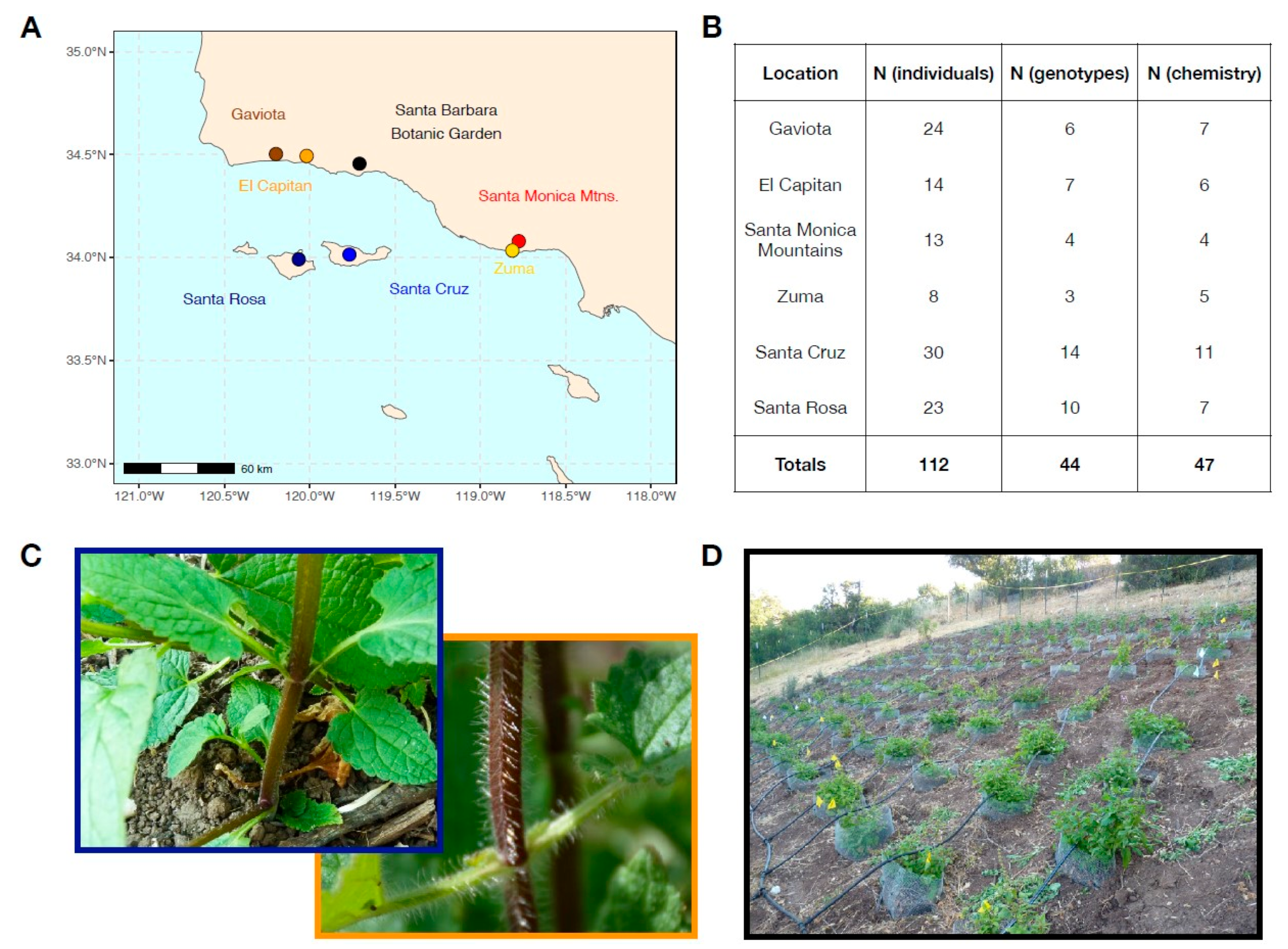 Plants 13 01026 g002