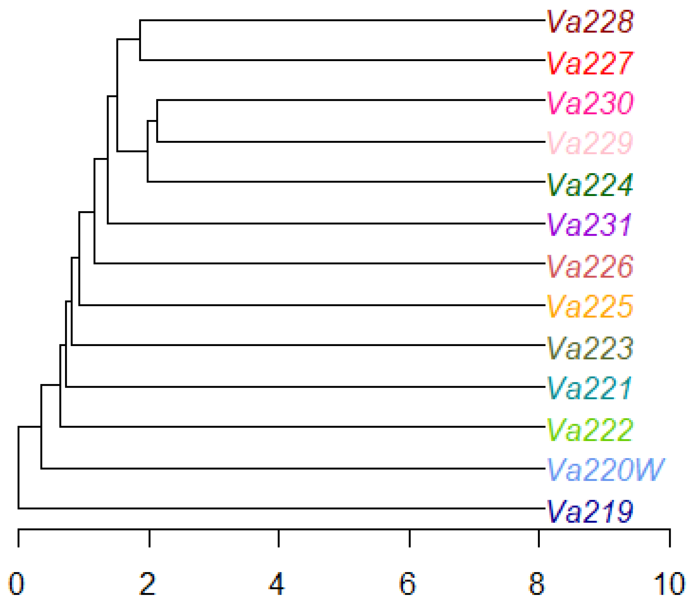 Plants 13 01030 g004