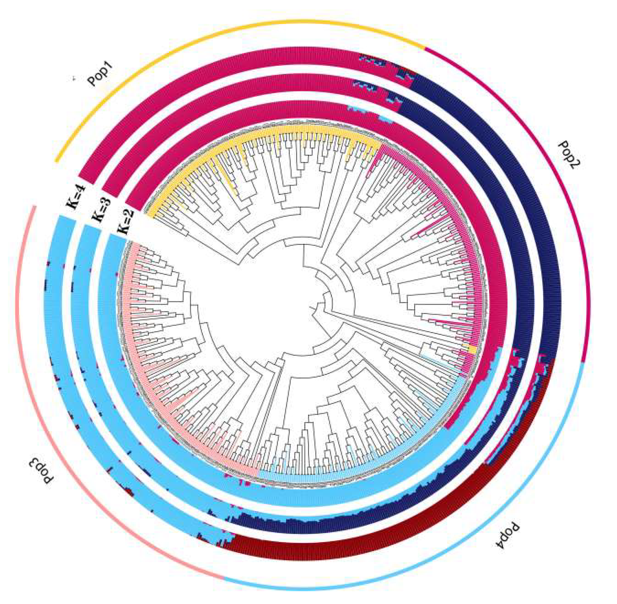 Plants 13 01032 g002
