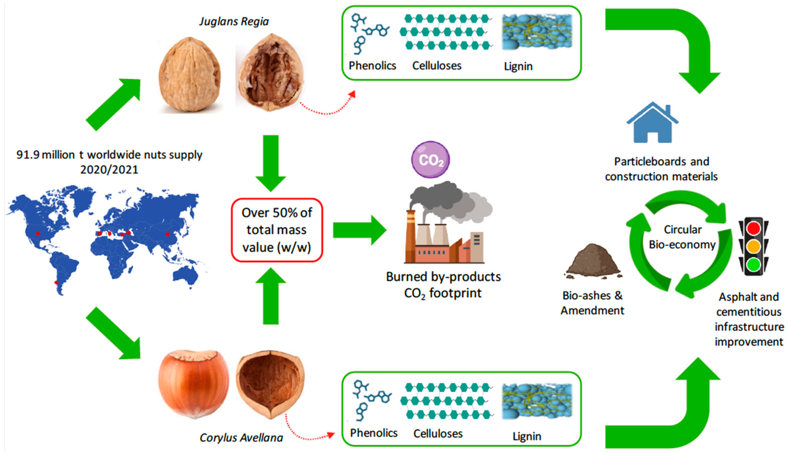 Plants 13 01034 g001
