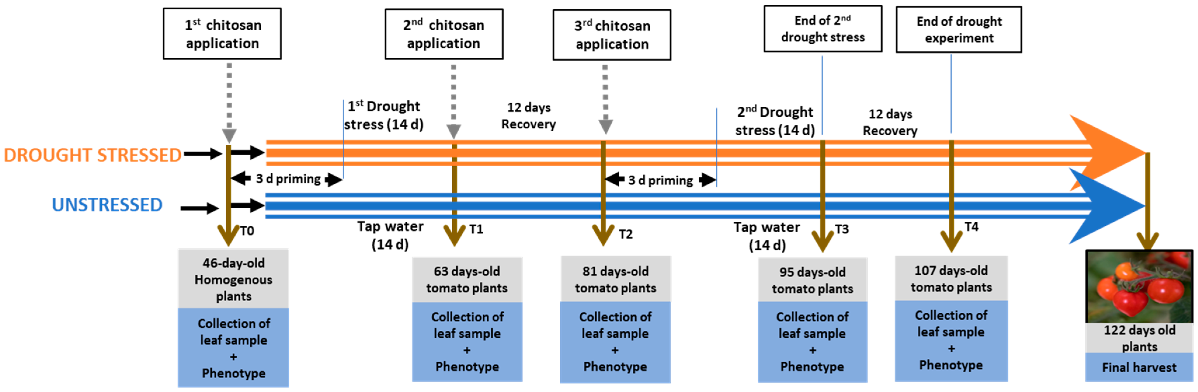 Plants 13 01038 g001