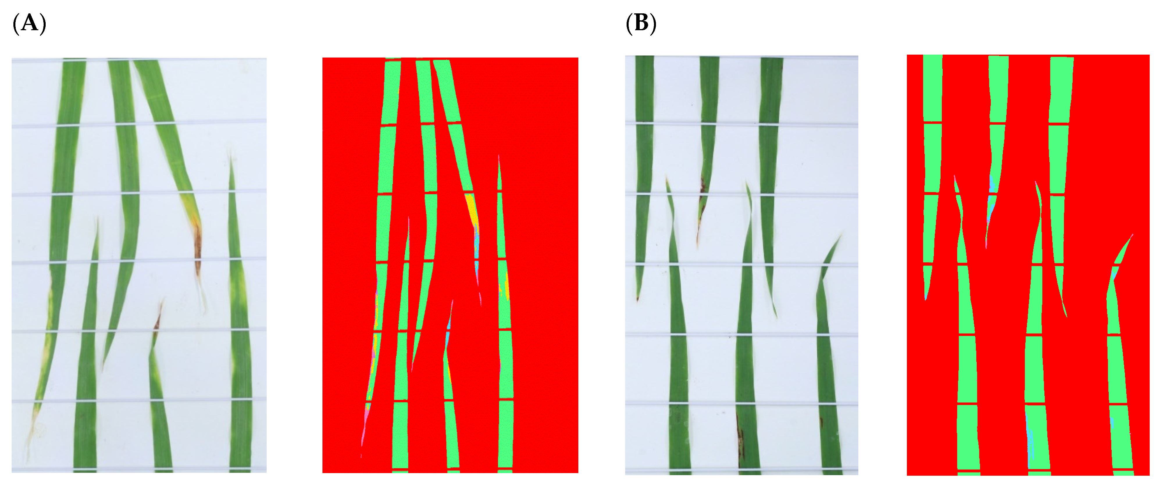 Plants 13 01039 g003