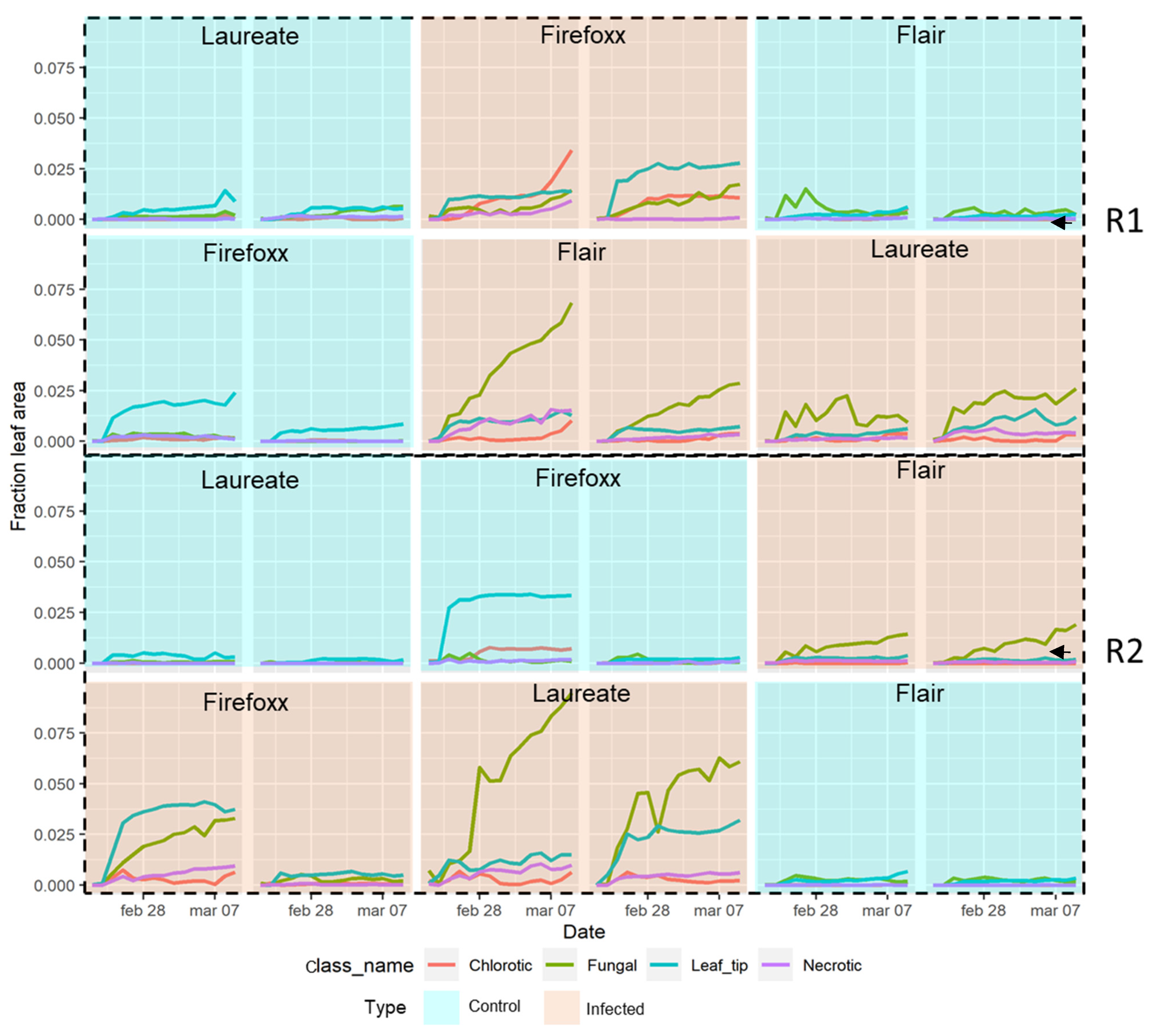 Plants 13 01039 g005