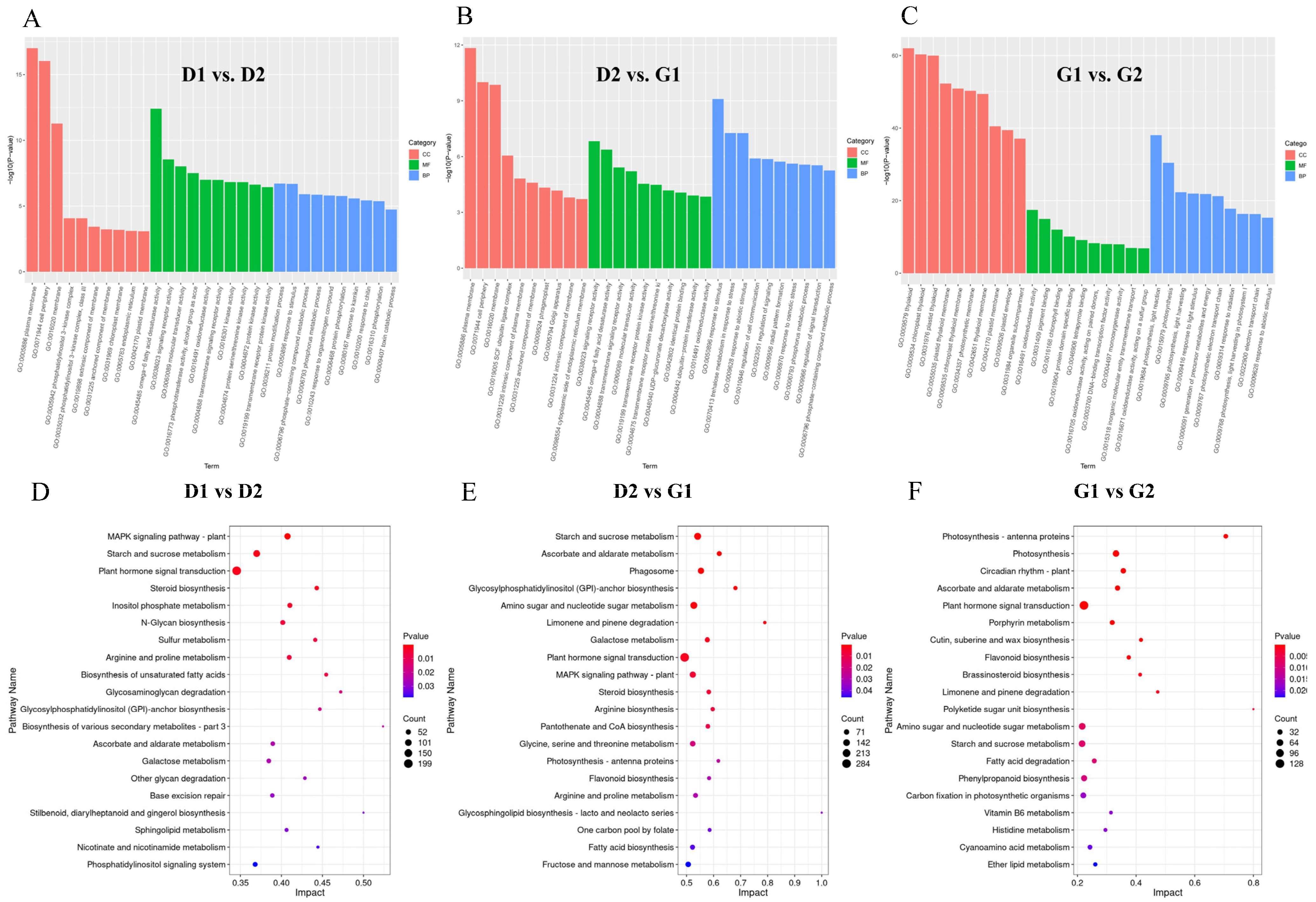 Plants 13 01041 g005