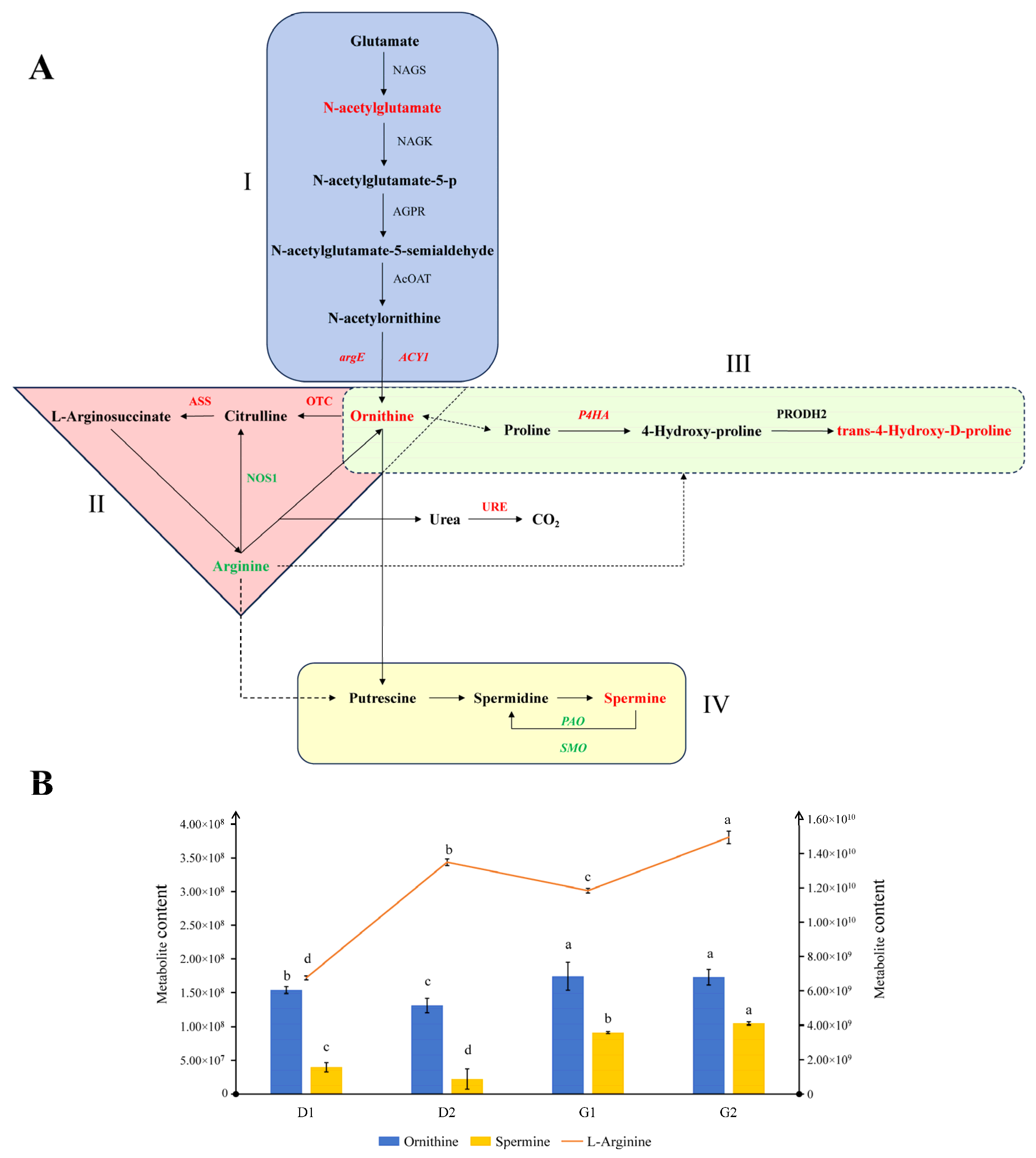 Plants 13 01041 g007