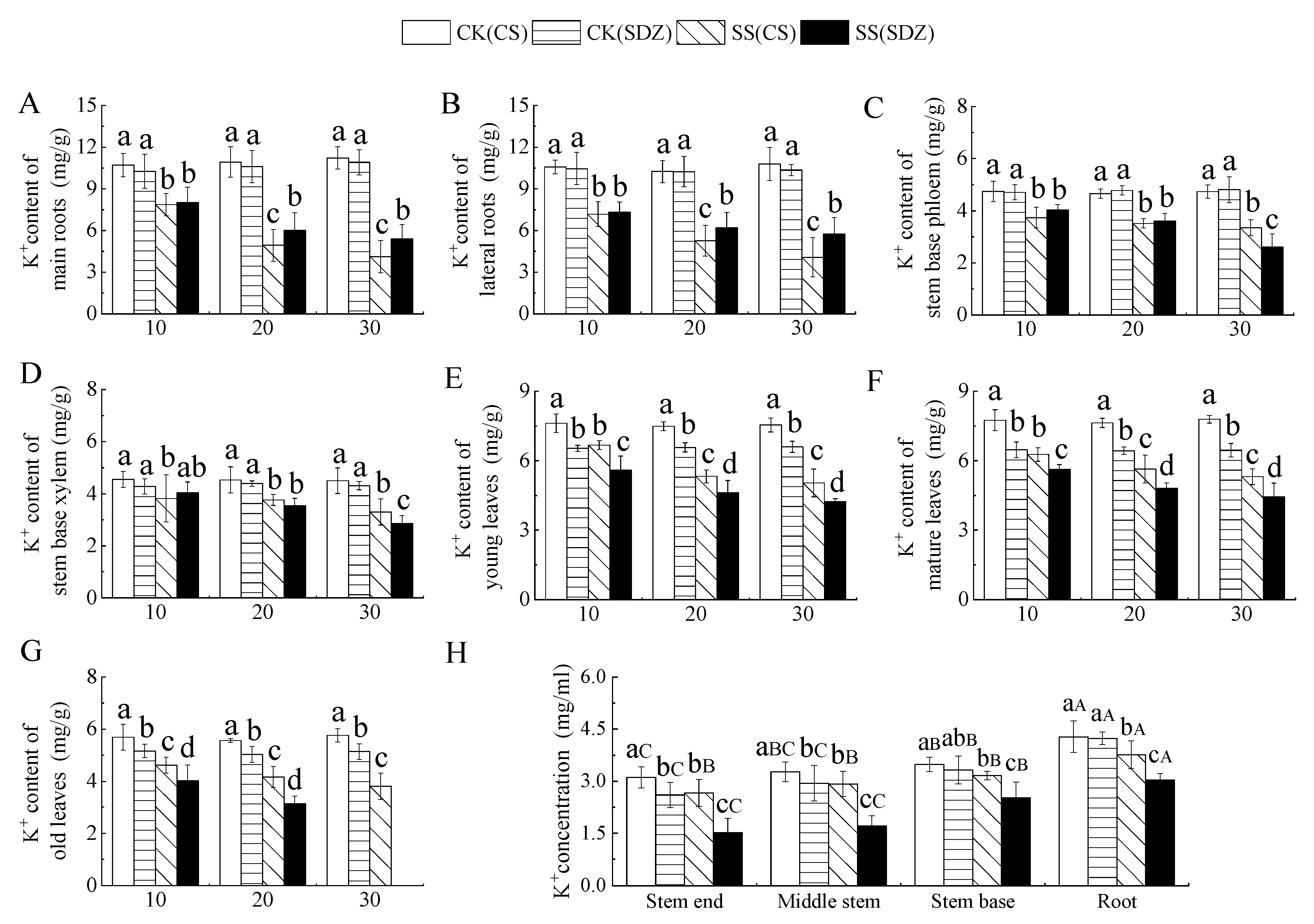 Plants 13 01046 g004