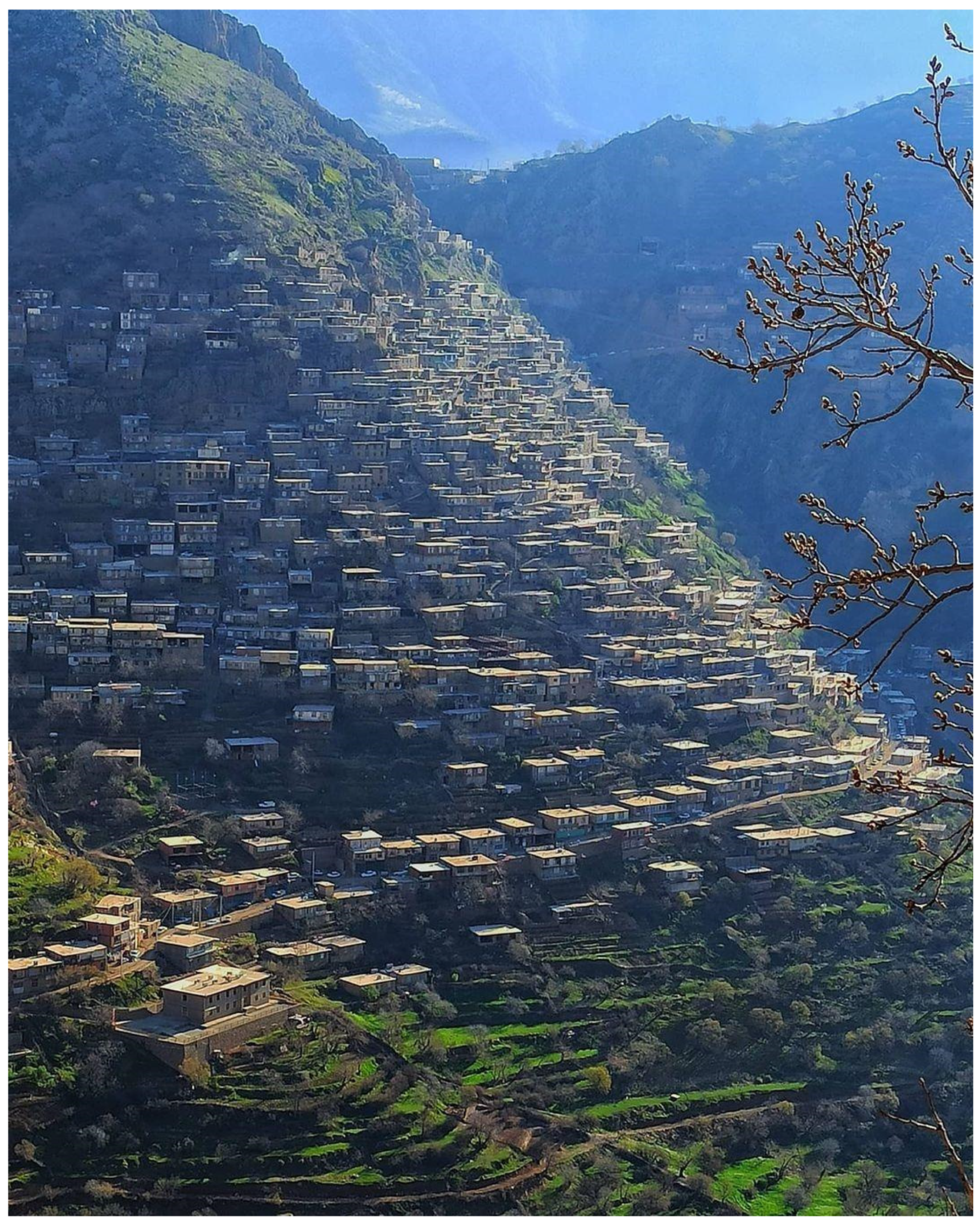 Plants 13 01048 g002