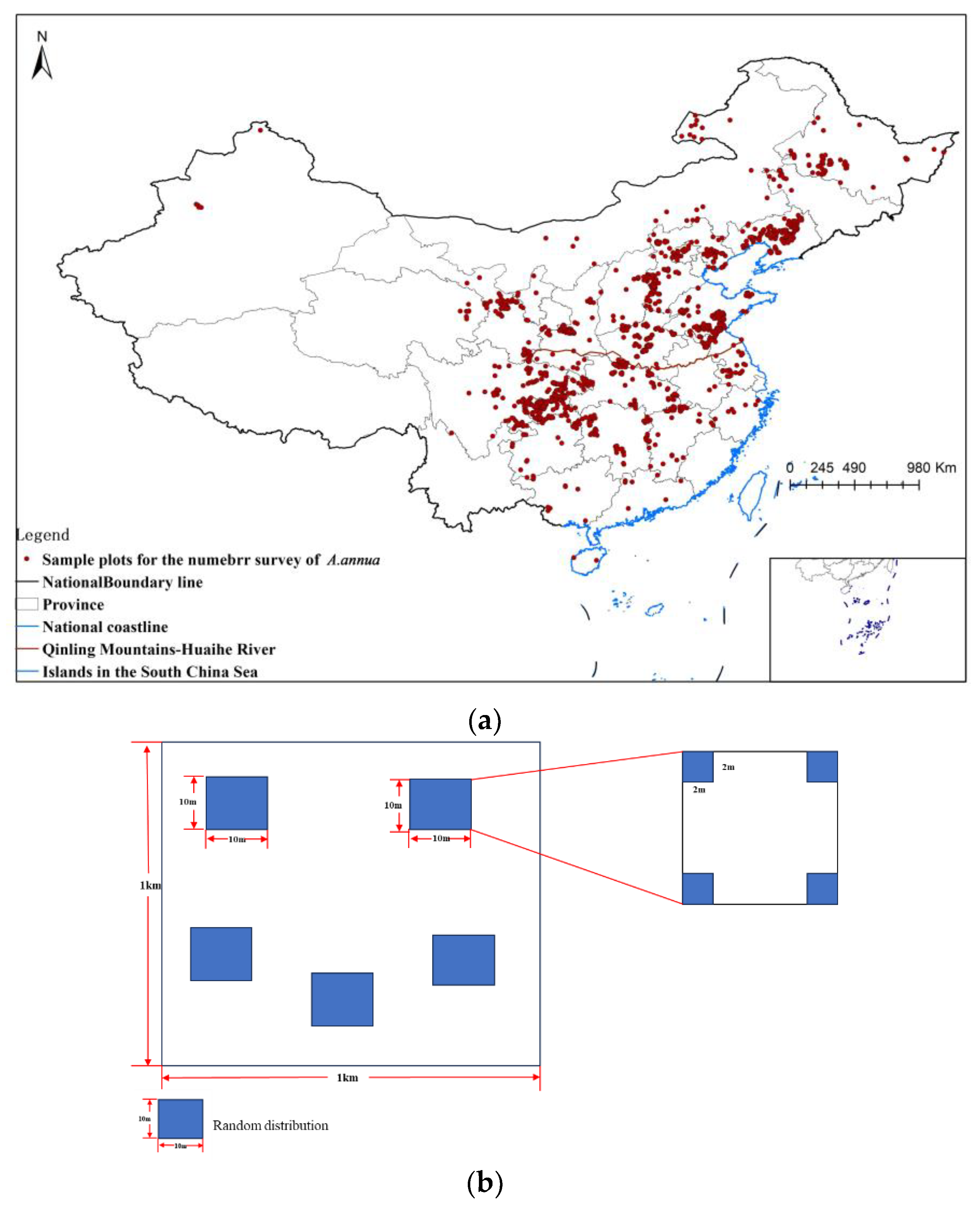 Plants 13 01050 g007