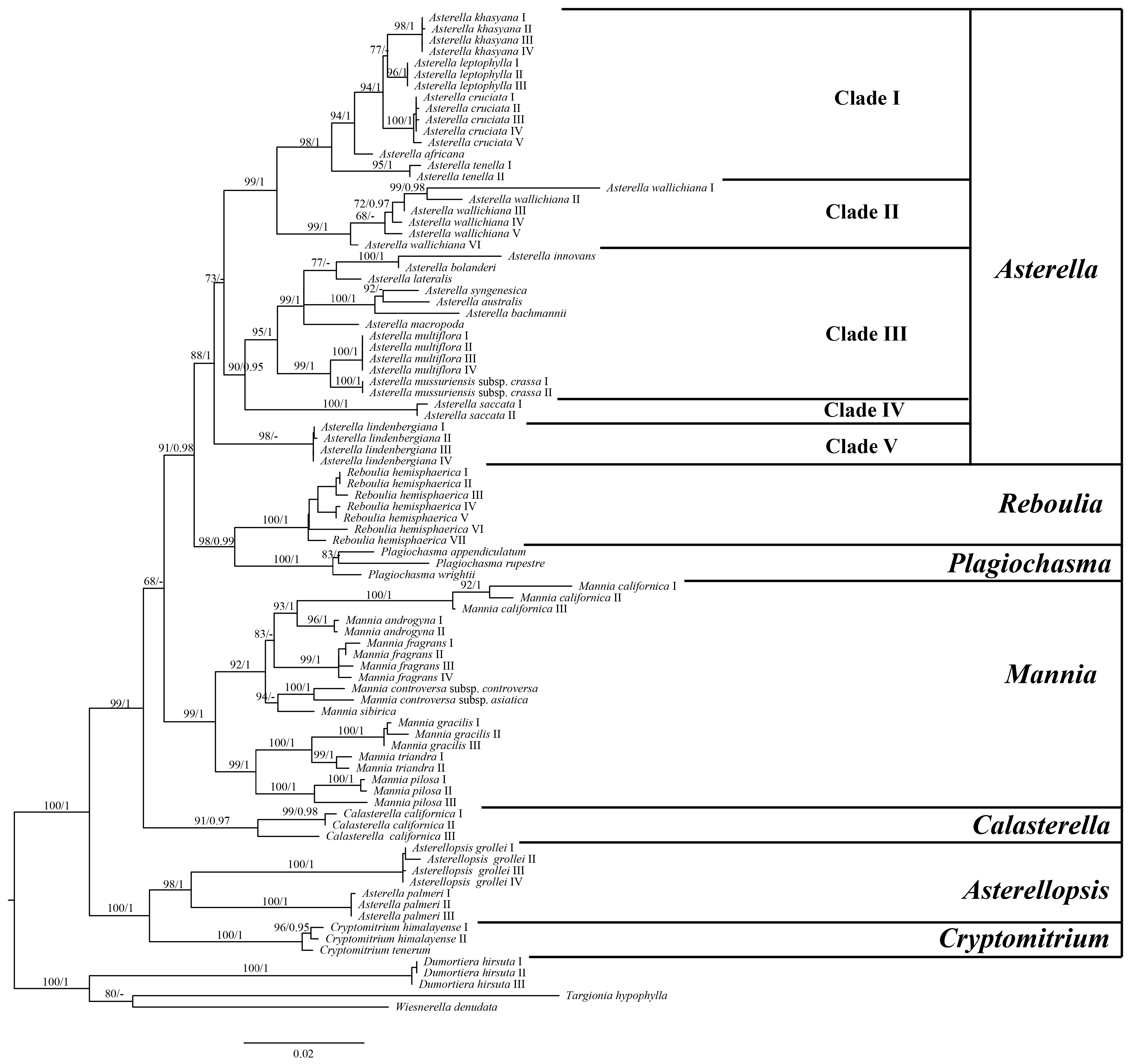Plants 13 01053 g001