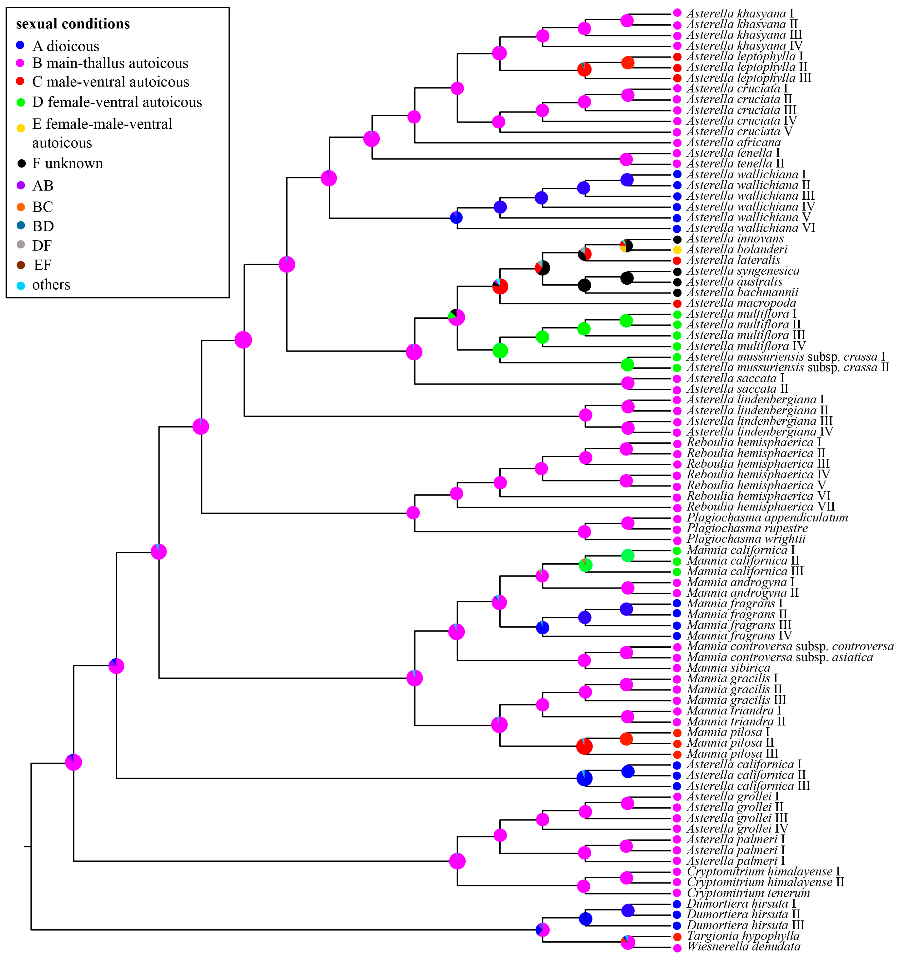 Plants 13 01053 g004
