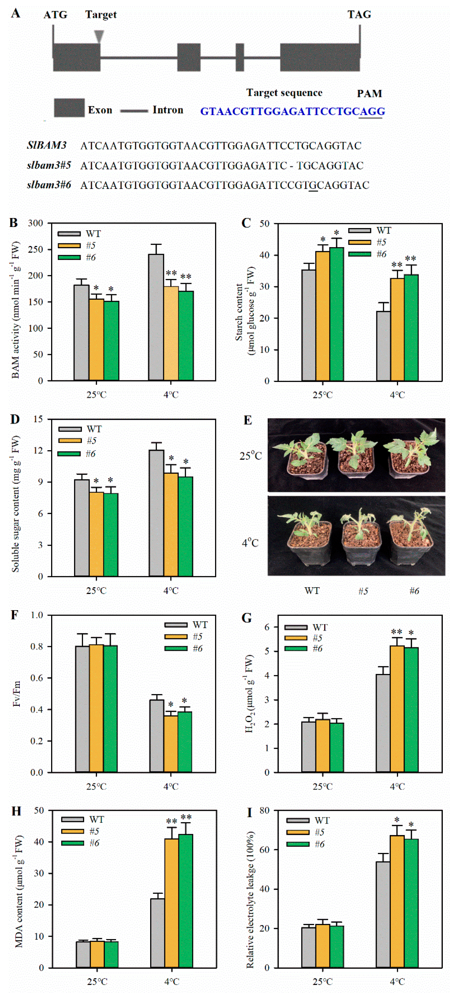 Plants 13 01055 g002