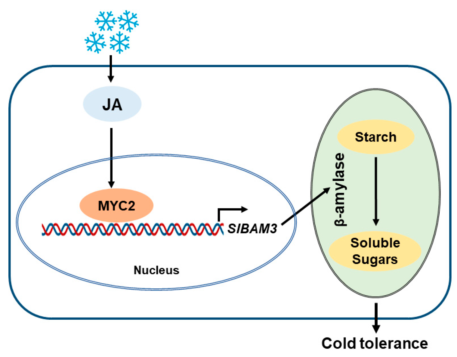 Plants 13 01055 g006