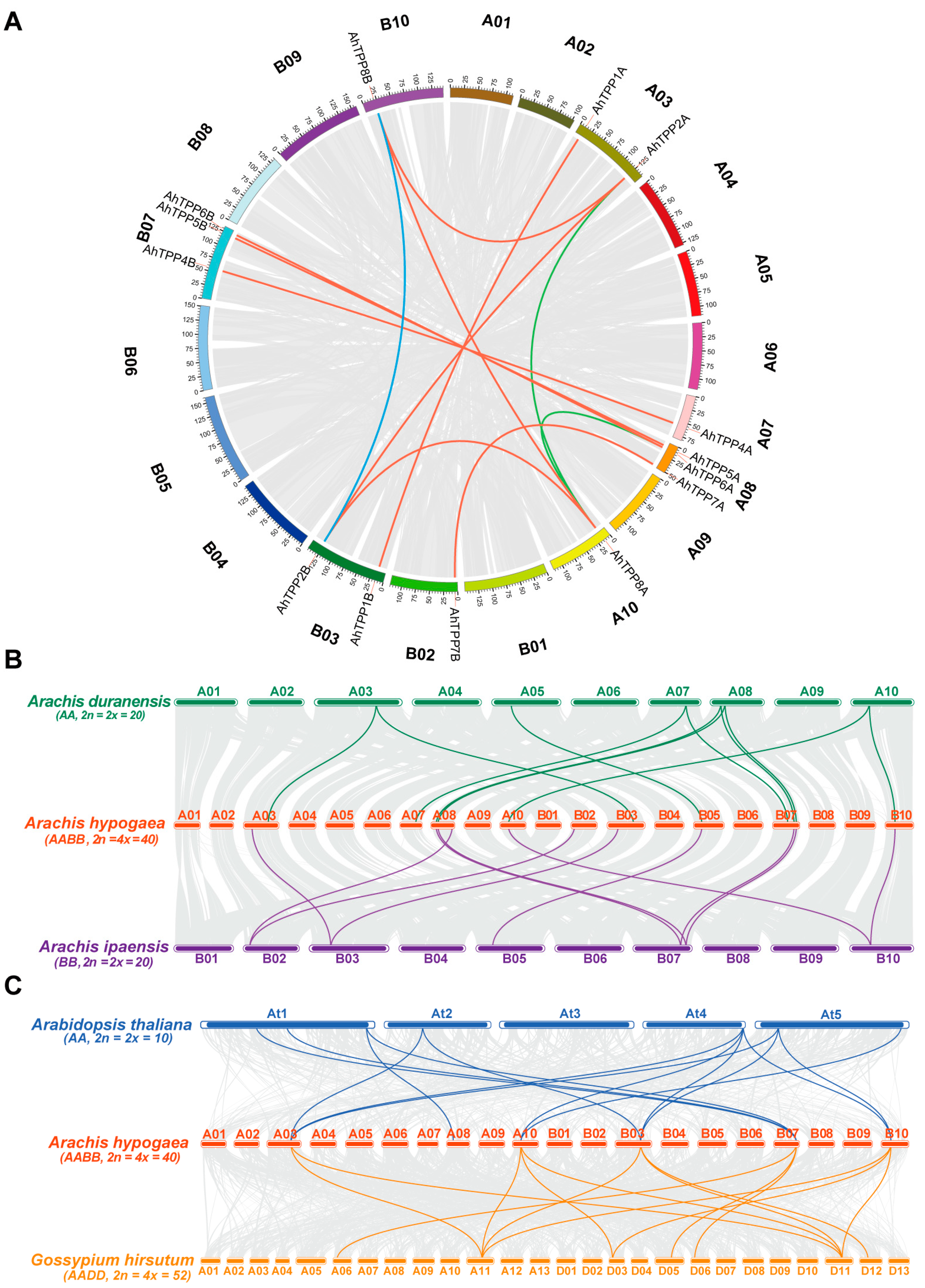 Plants 13 01056 g003