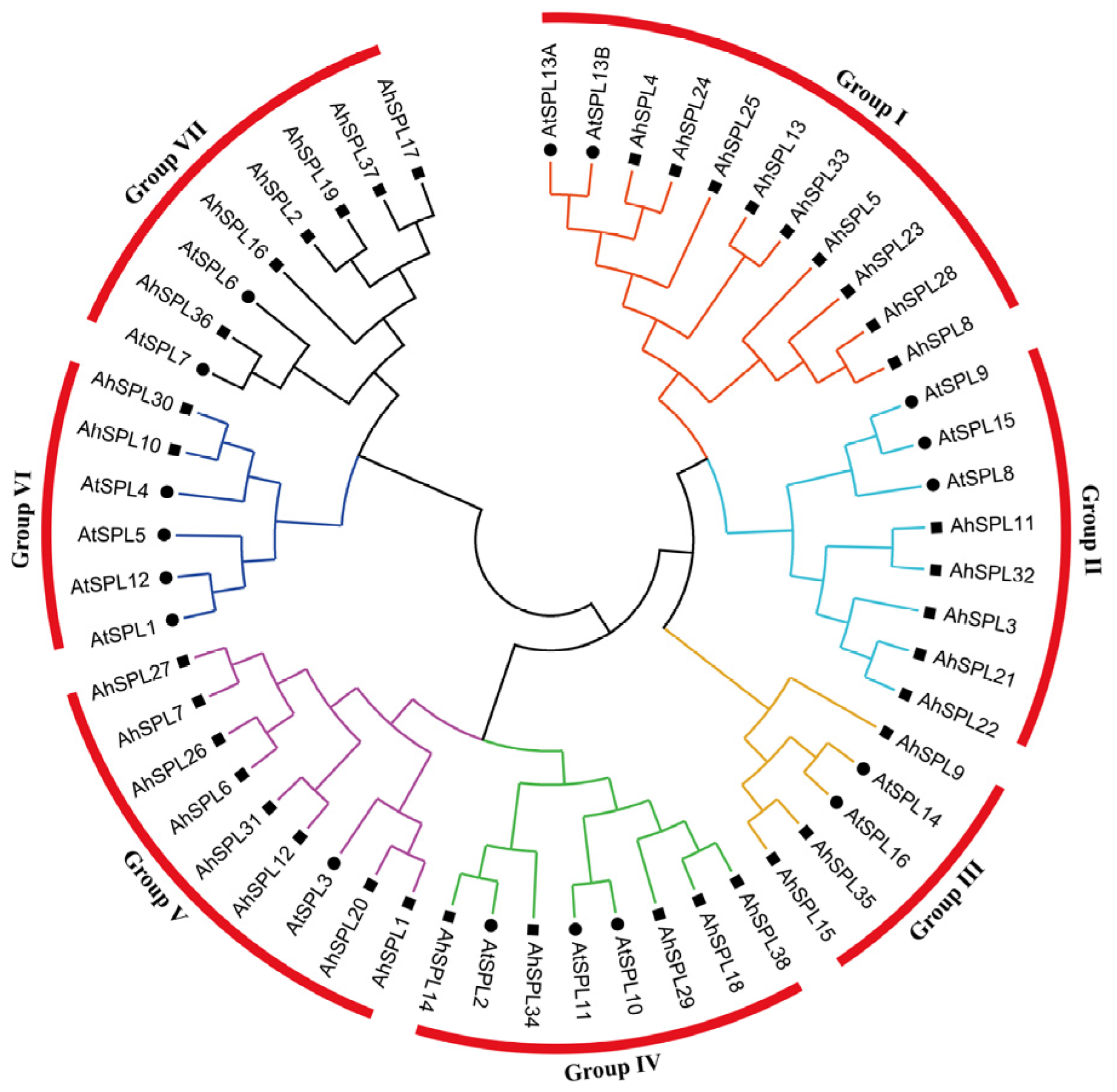 Plants 13 01057 g001