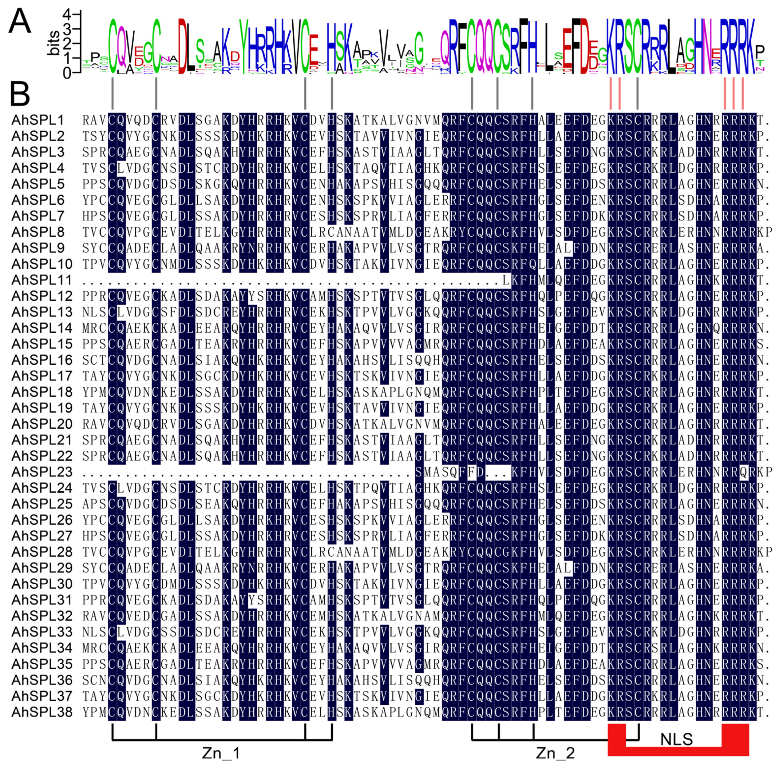Plants 13 01057 g003