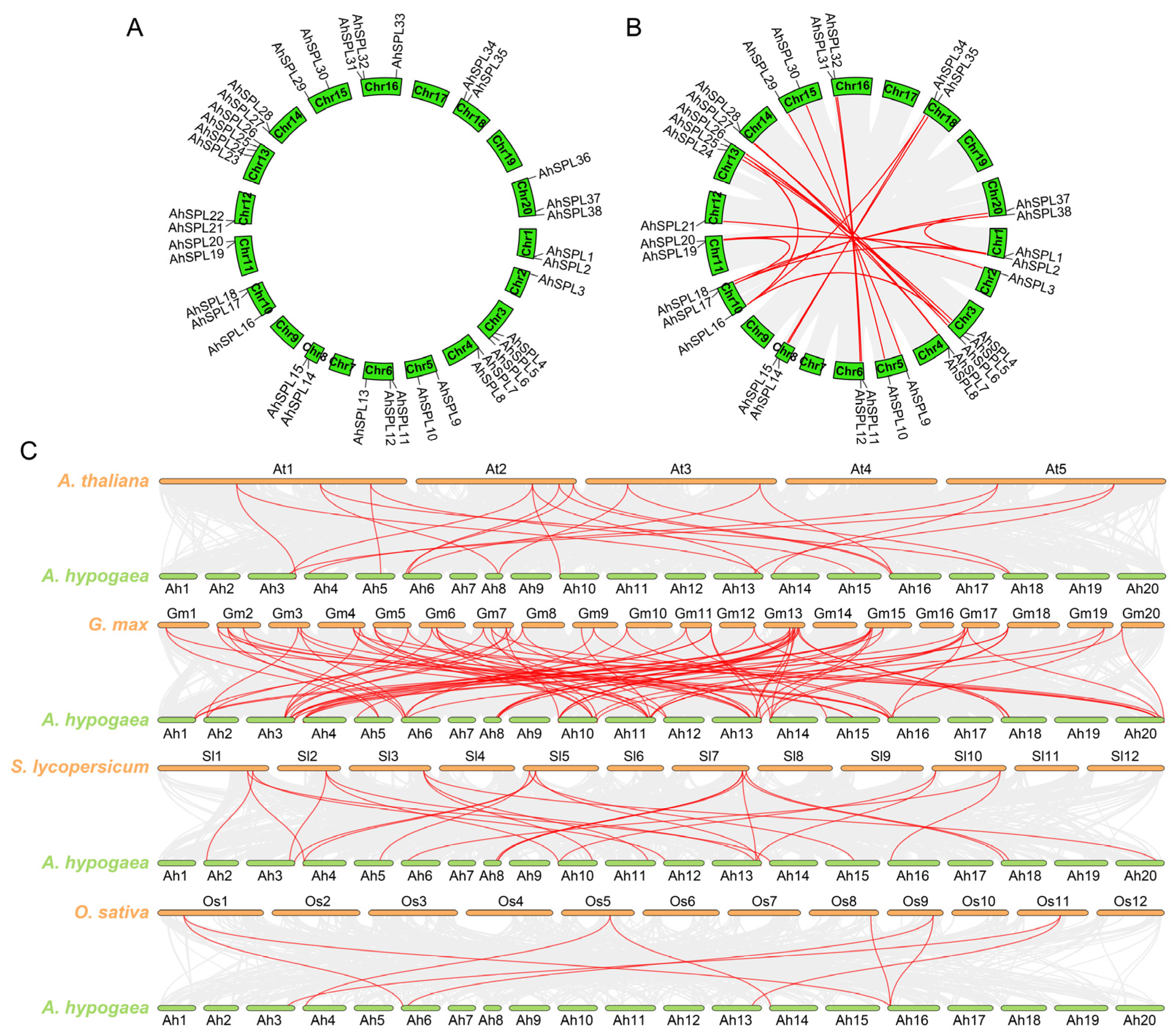Plants 13 01057 g004