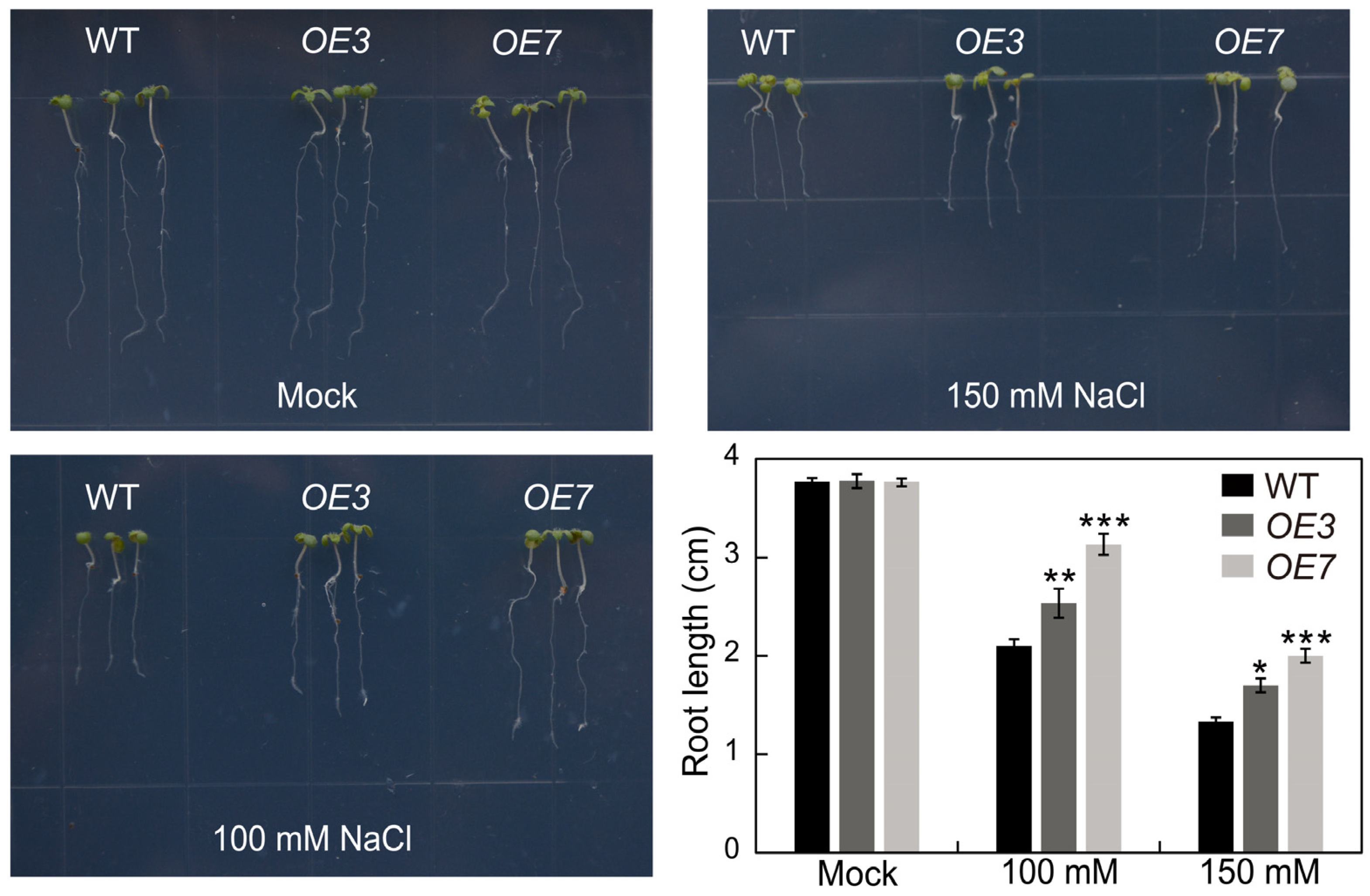Plants 13 01057 g011