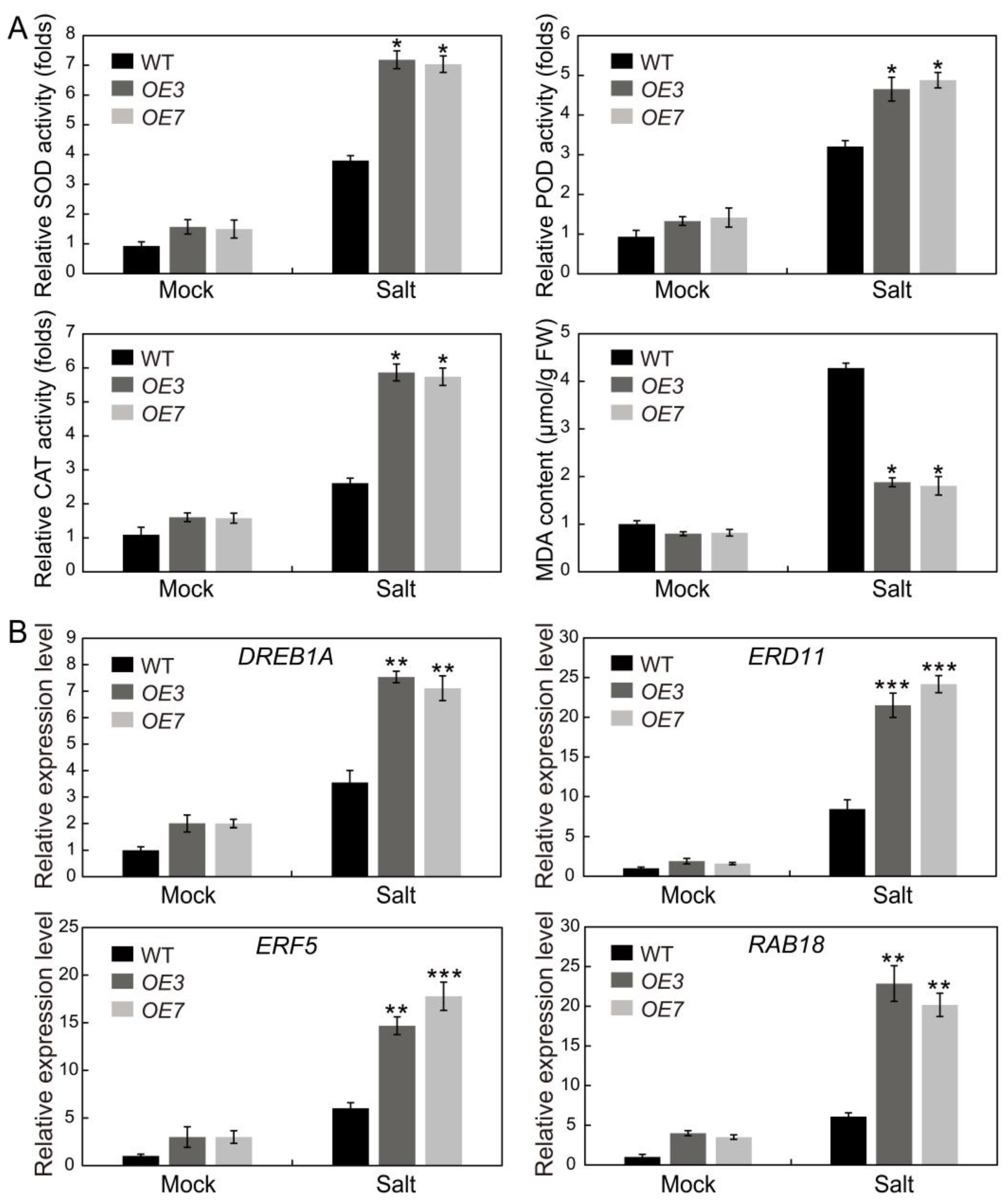 Plants 13 01057 g012