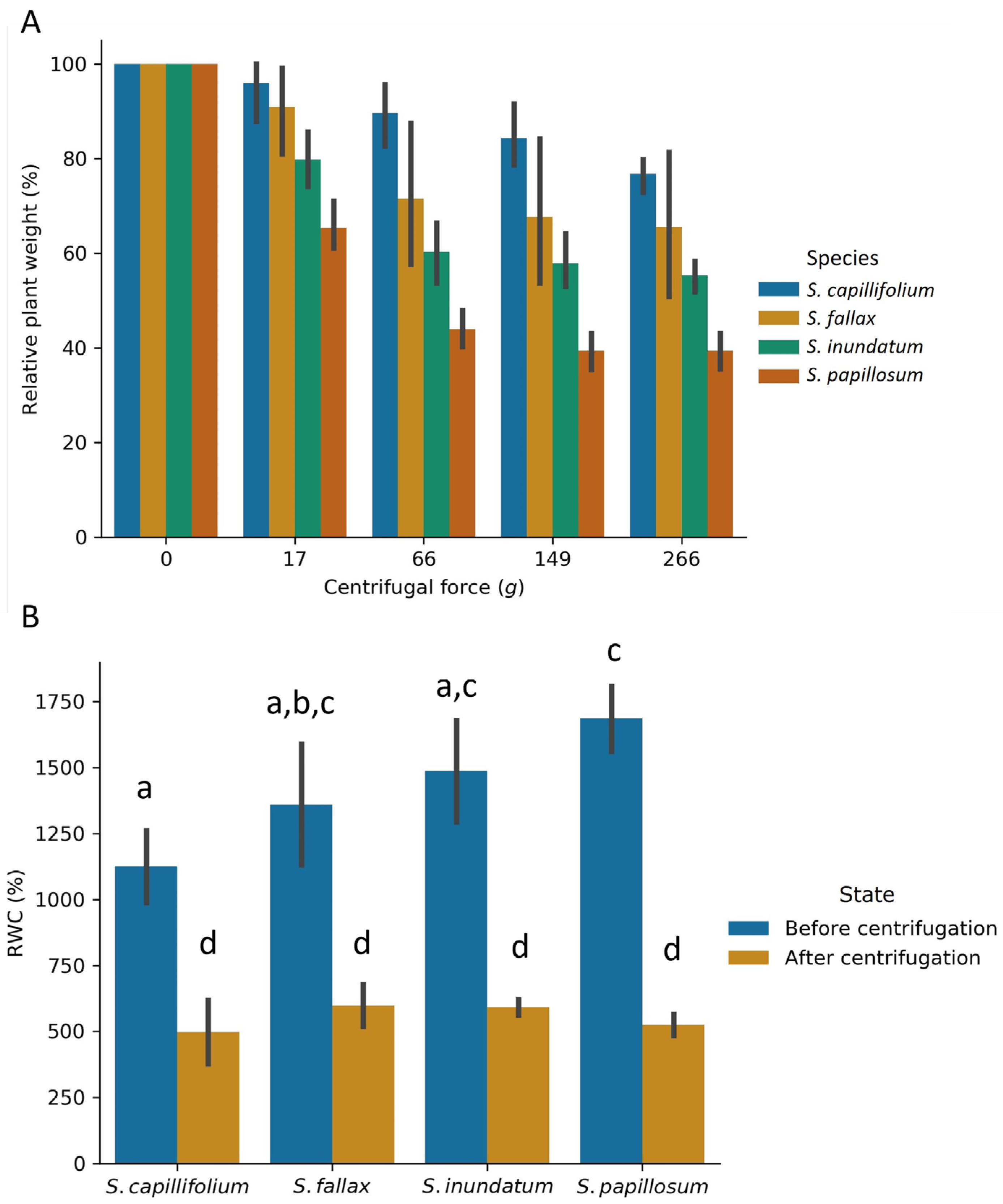 Plants 13 01061 g002