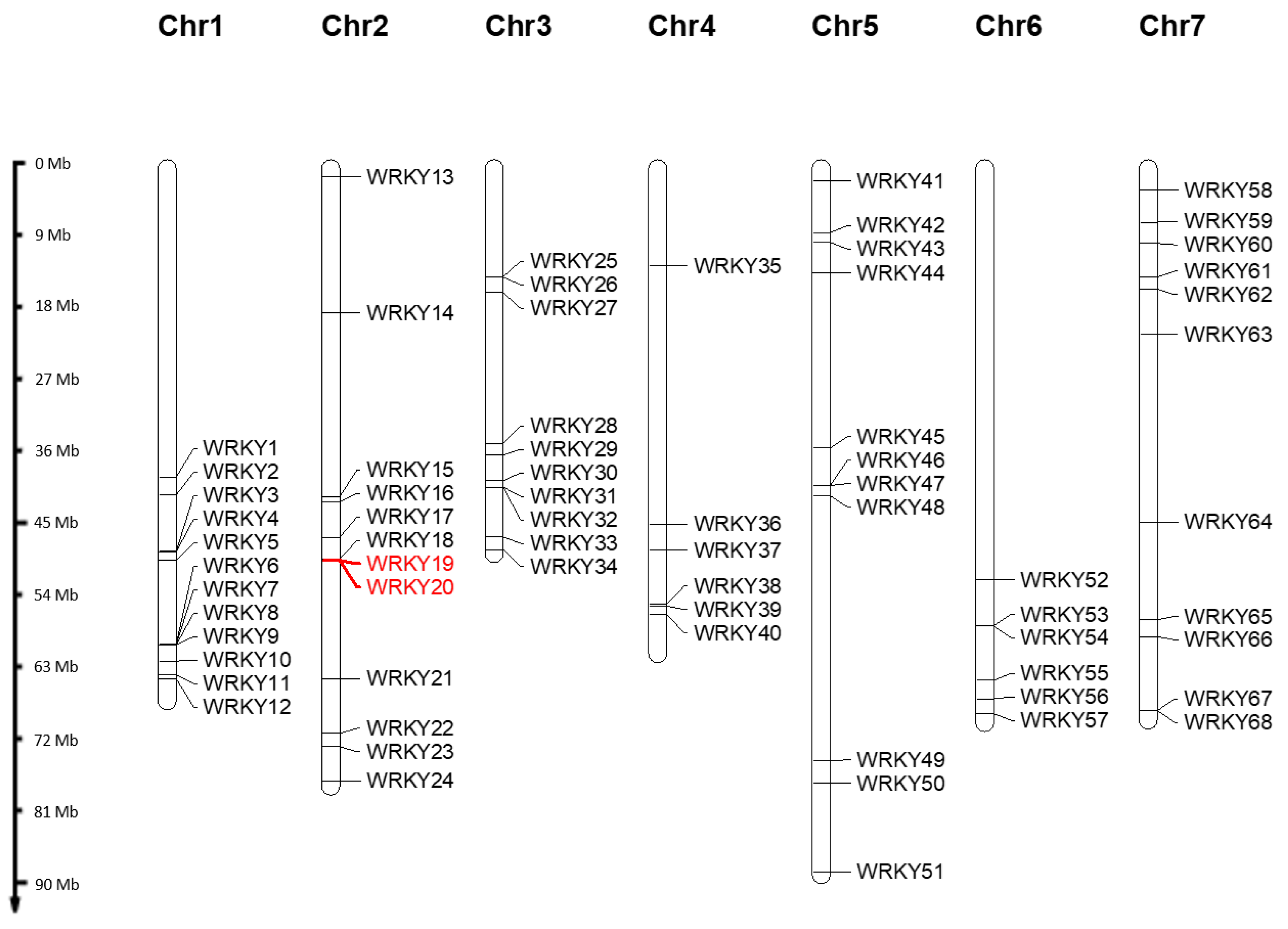 Plants 13 01066 g001