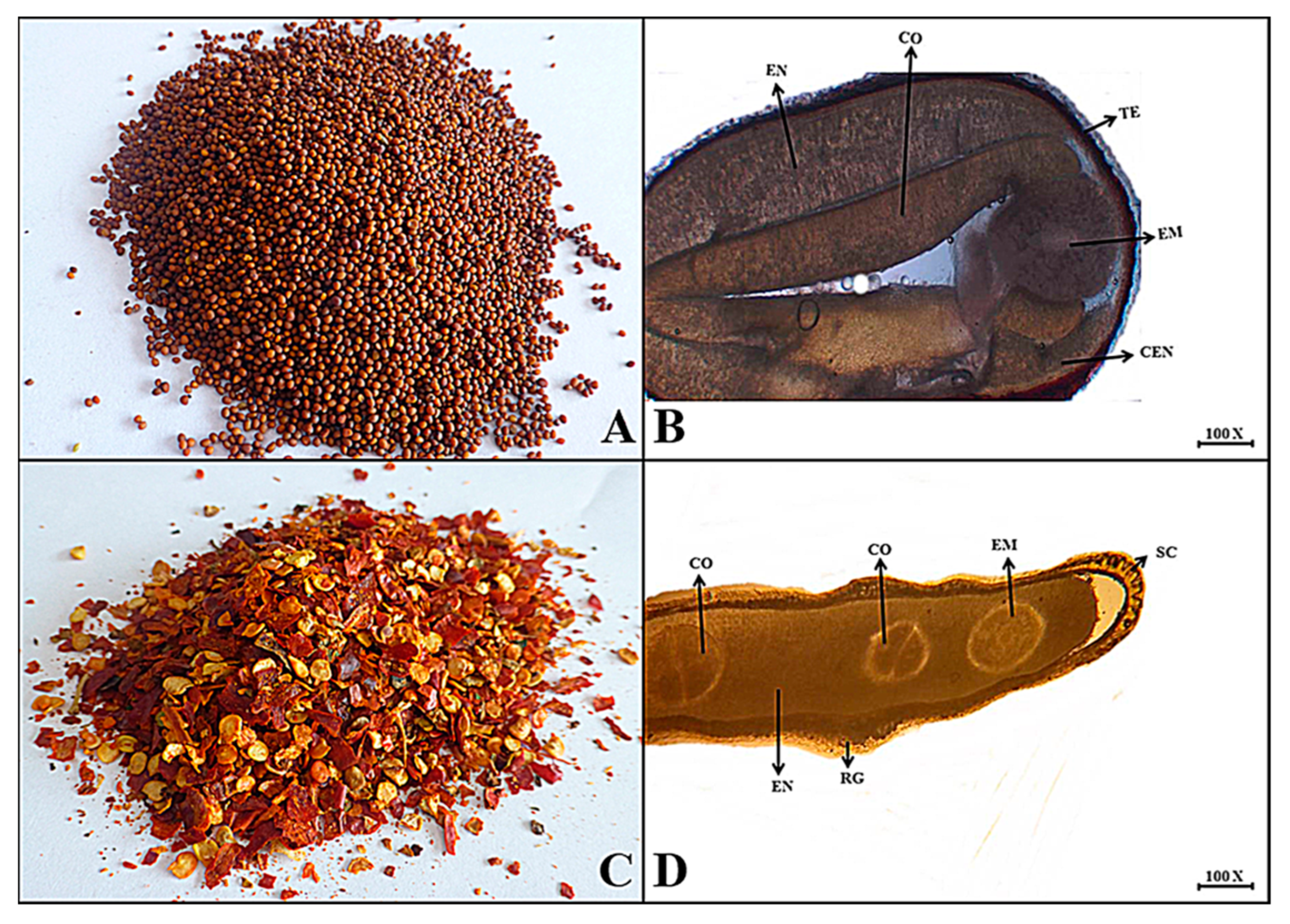 Plants 13 01067 g004