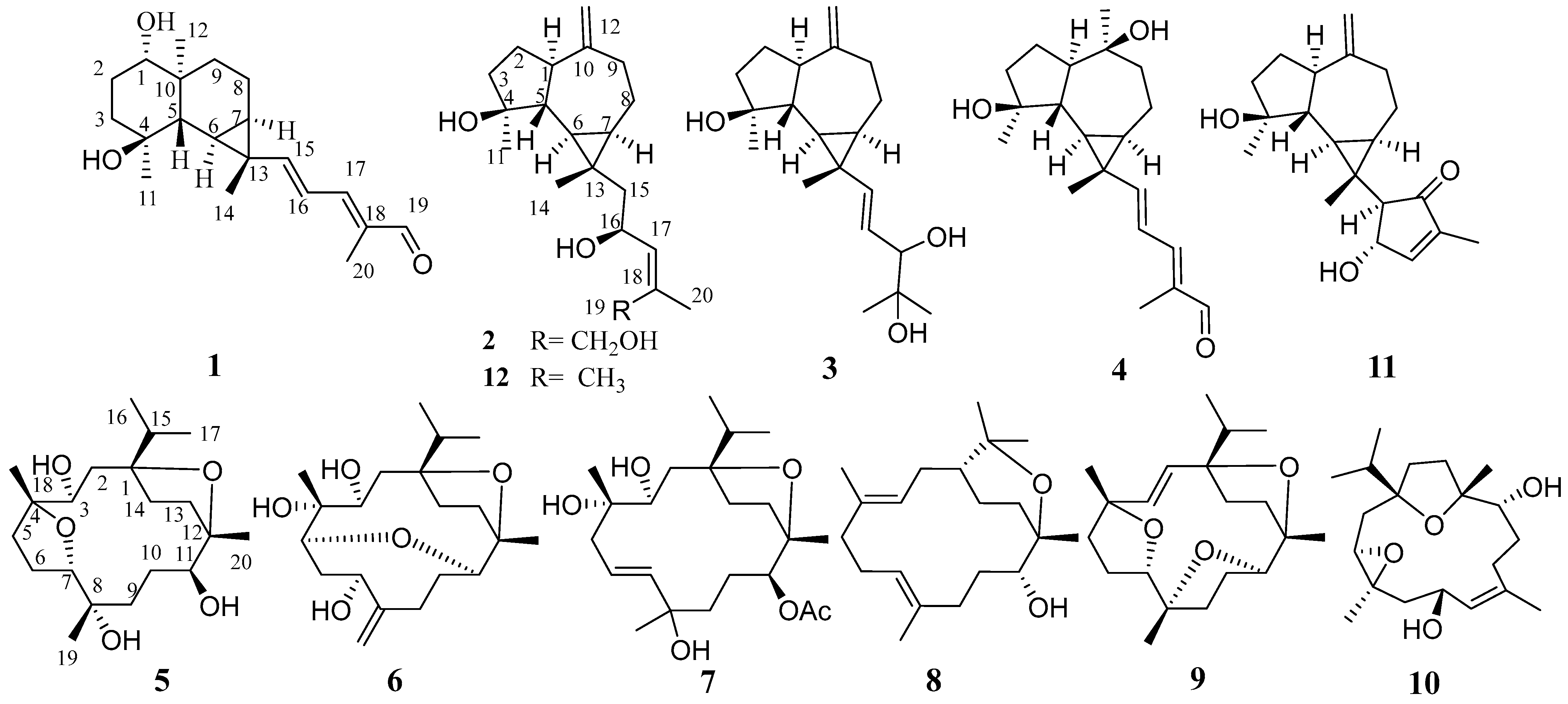 Plants 13 01074 g001