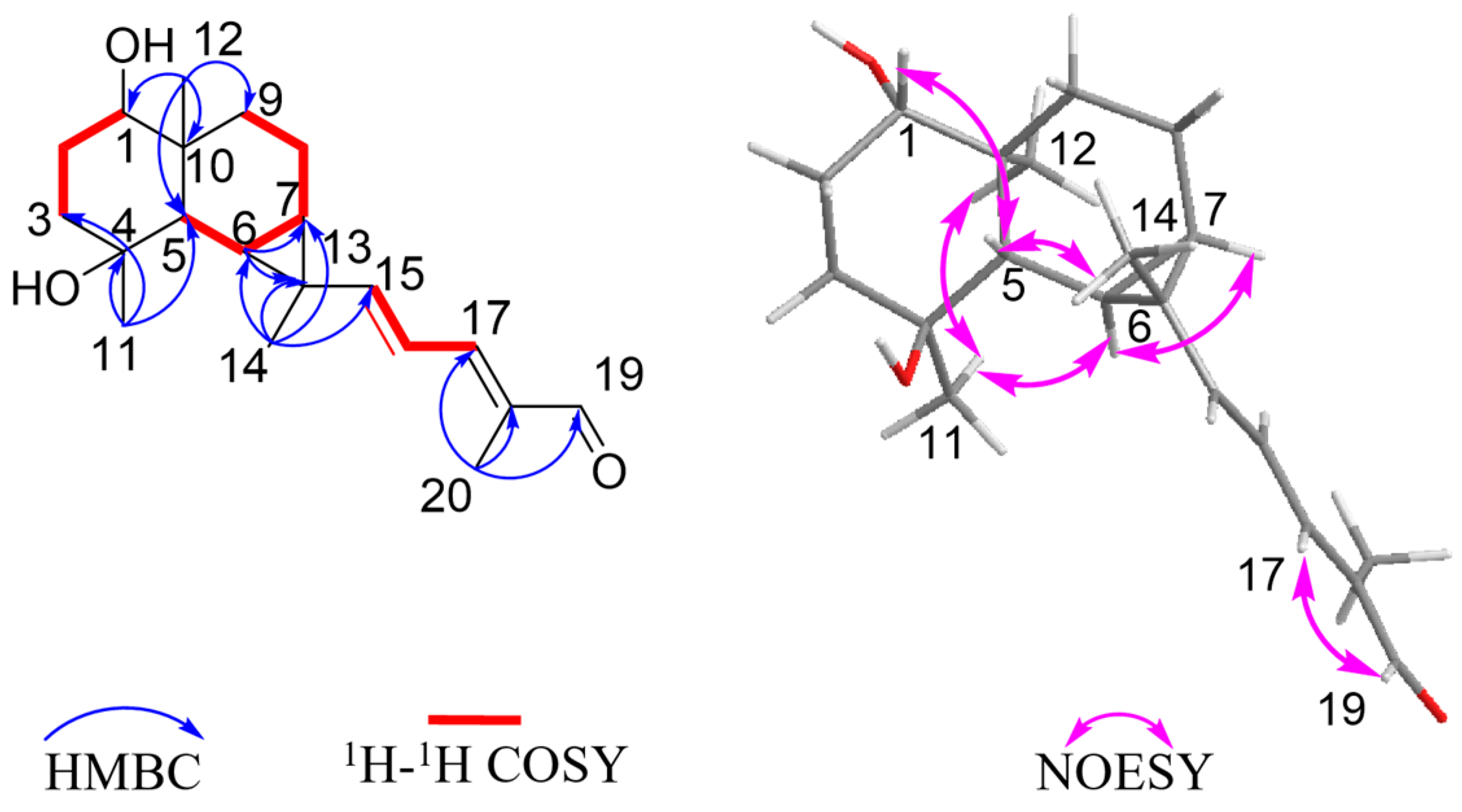 Plants 13 01074 g002