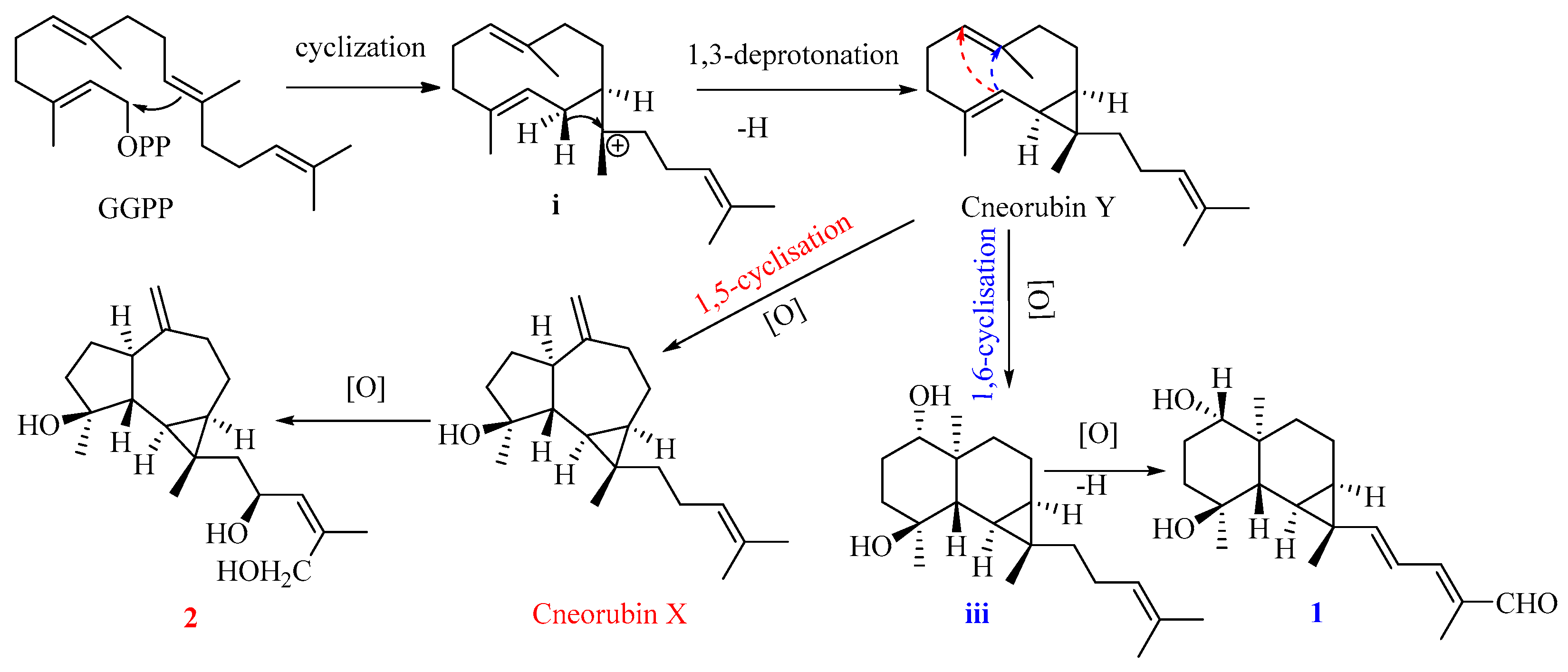 Plants 13 01074 g006