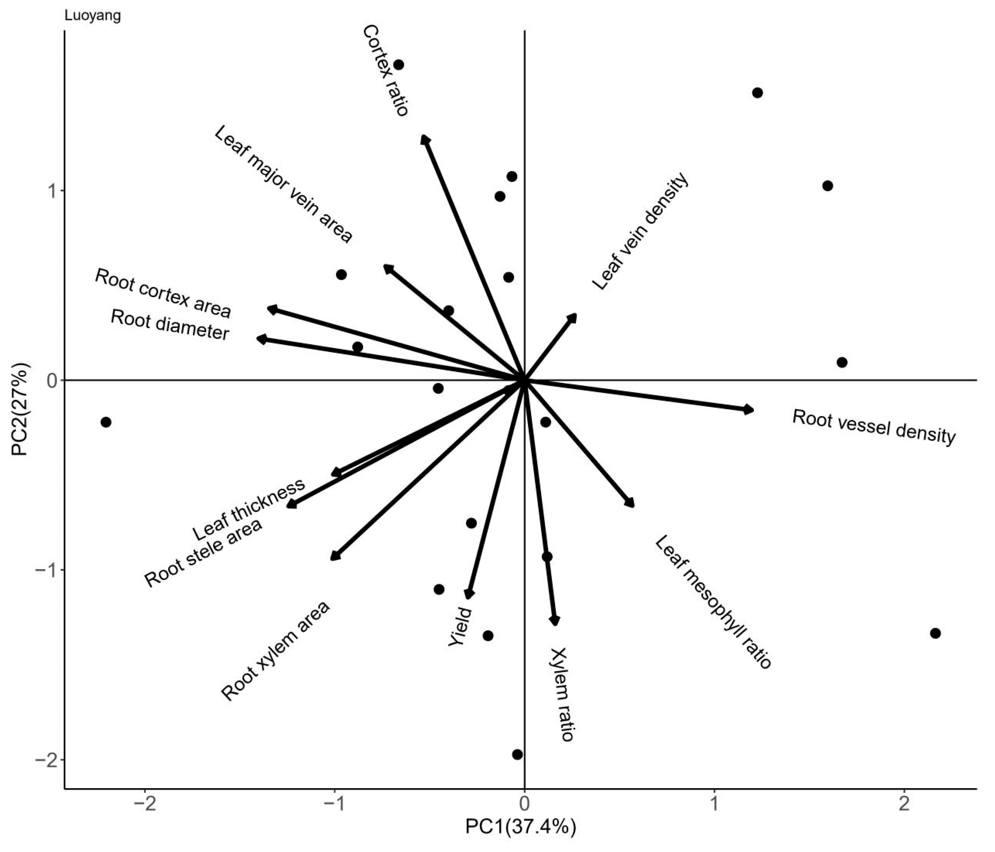 Plants 13 01075 g007