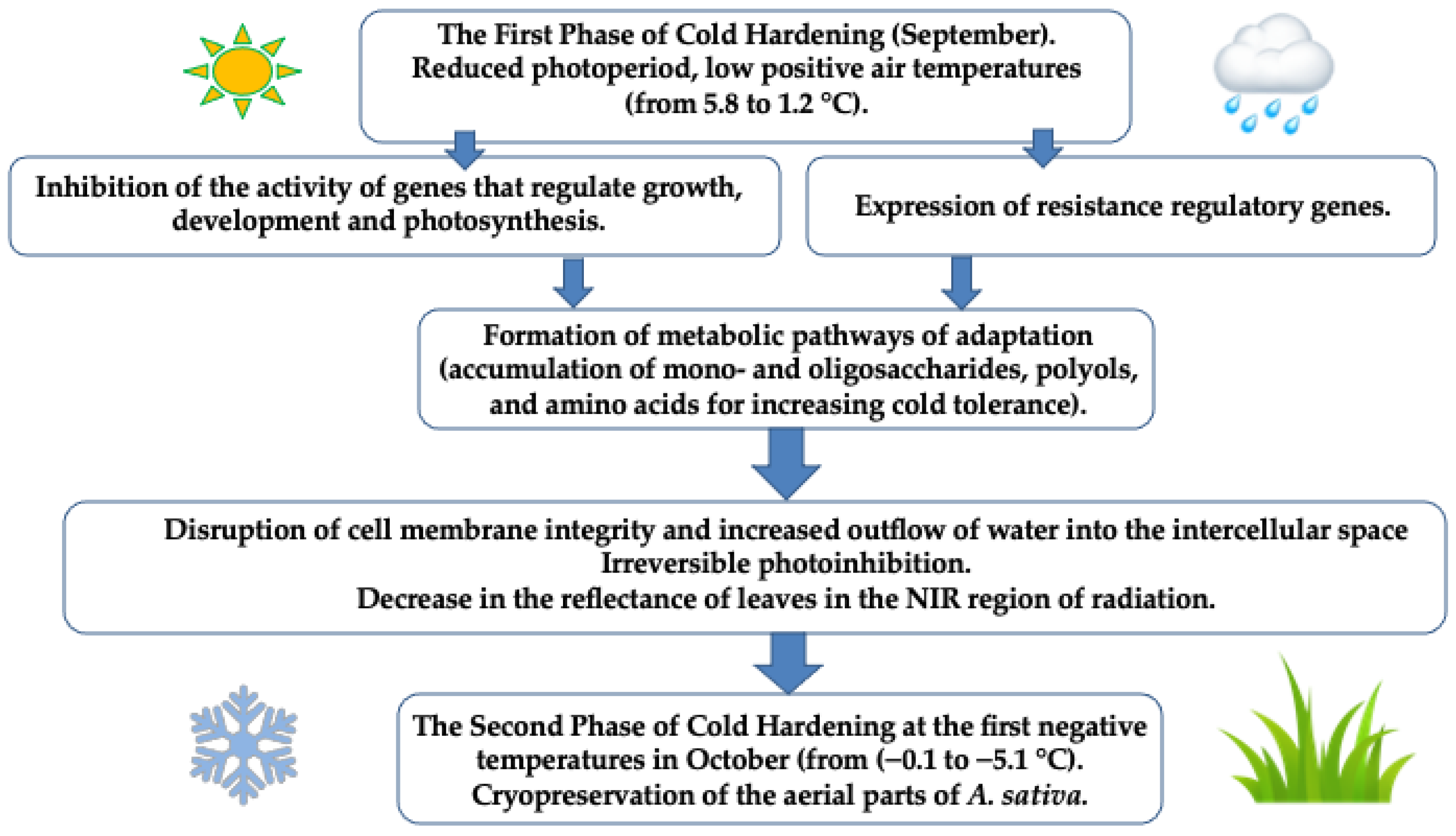 Plants 13 01076 g008