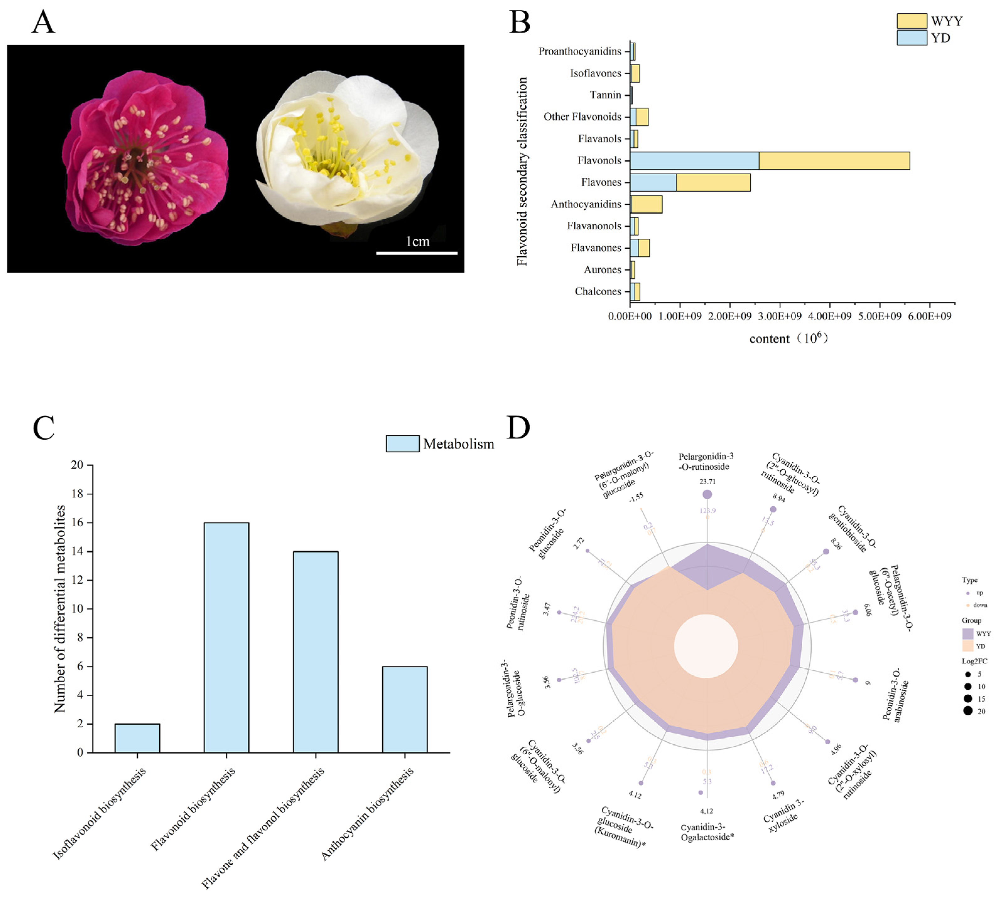 Plants 13 01077 g001