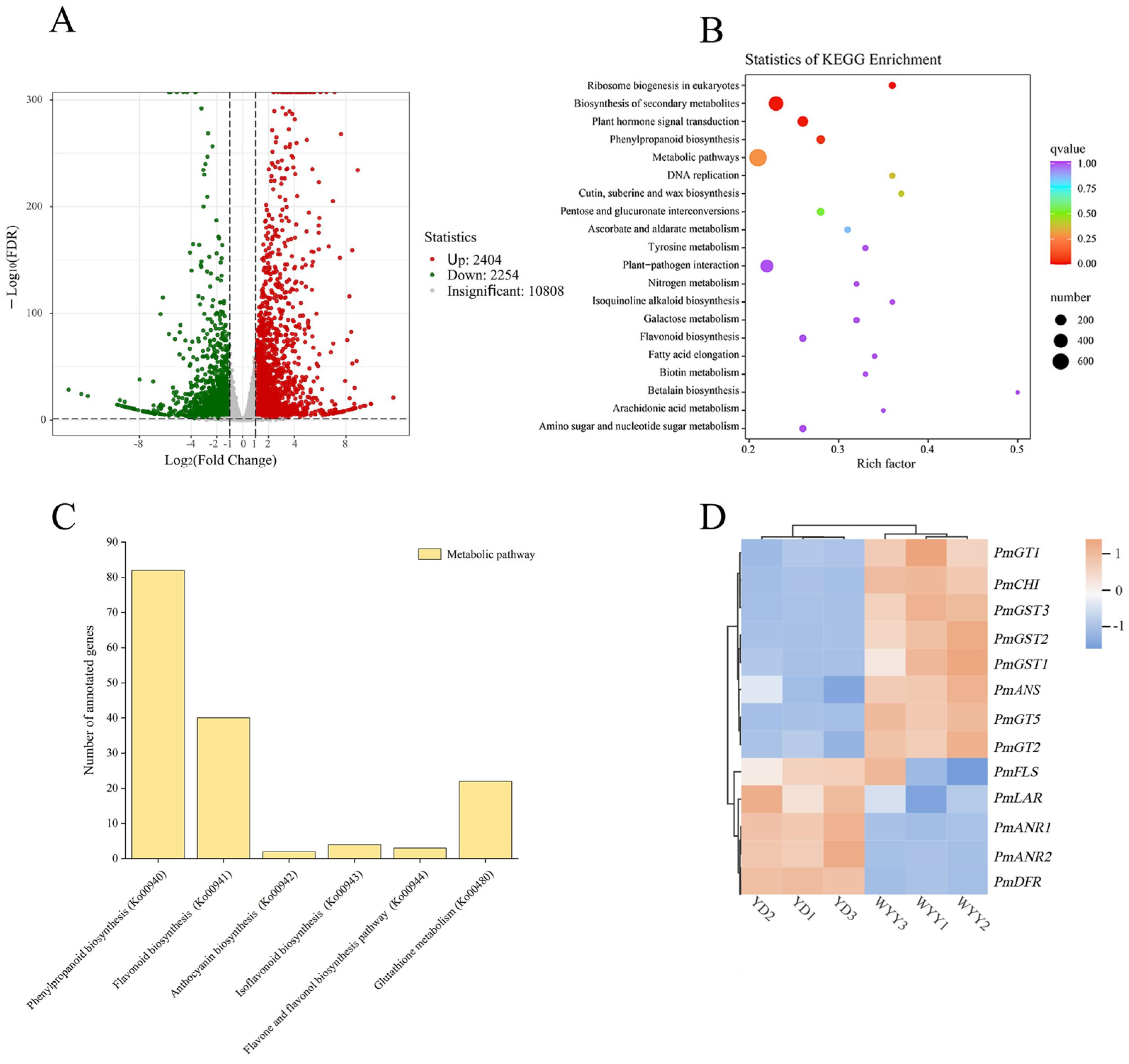 Plants 13 01077 g002