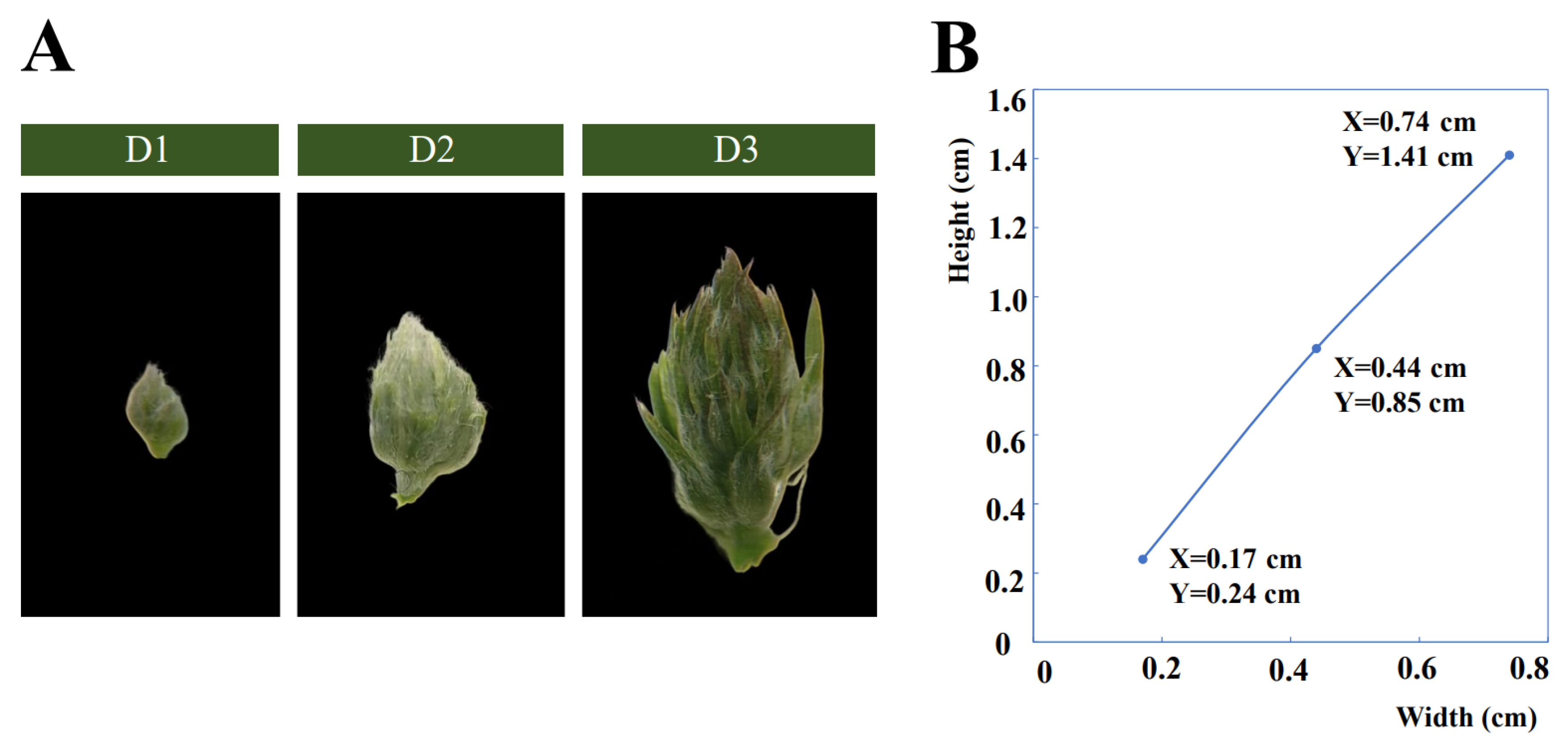Plants 13 01078 g001 Plants 13 01078 g001