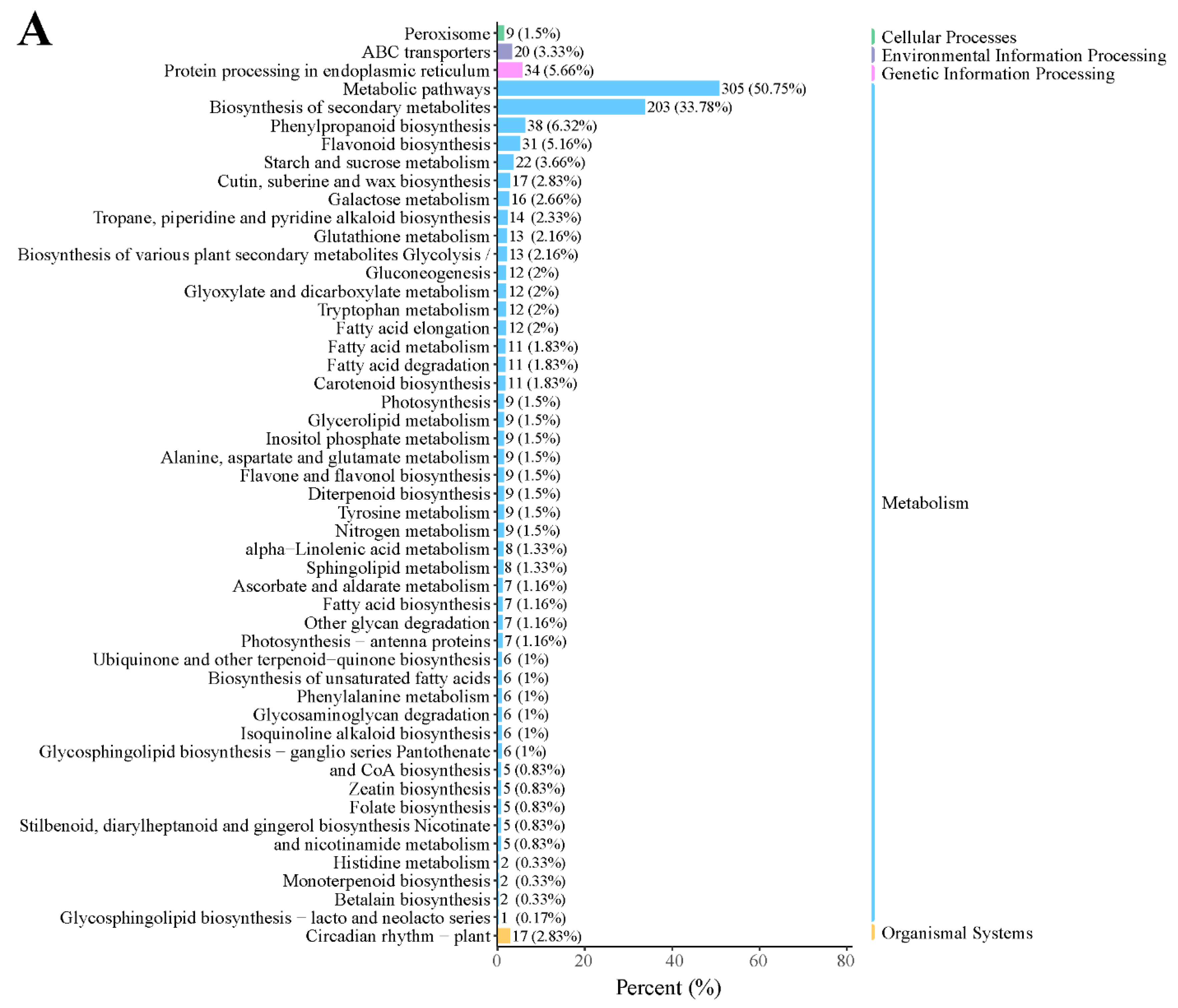 Plants 13 01078 g003a Plants 13 01078 g003a