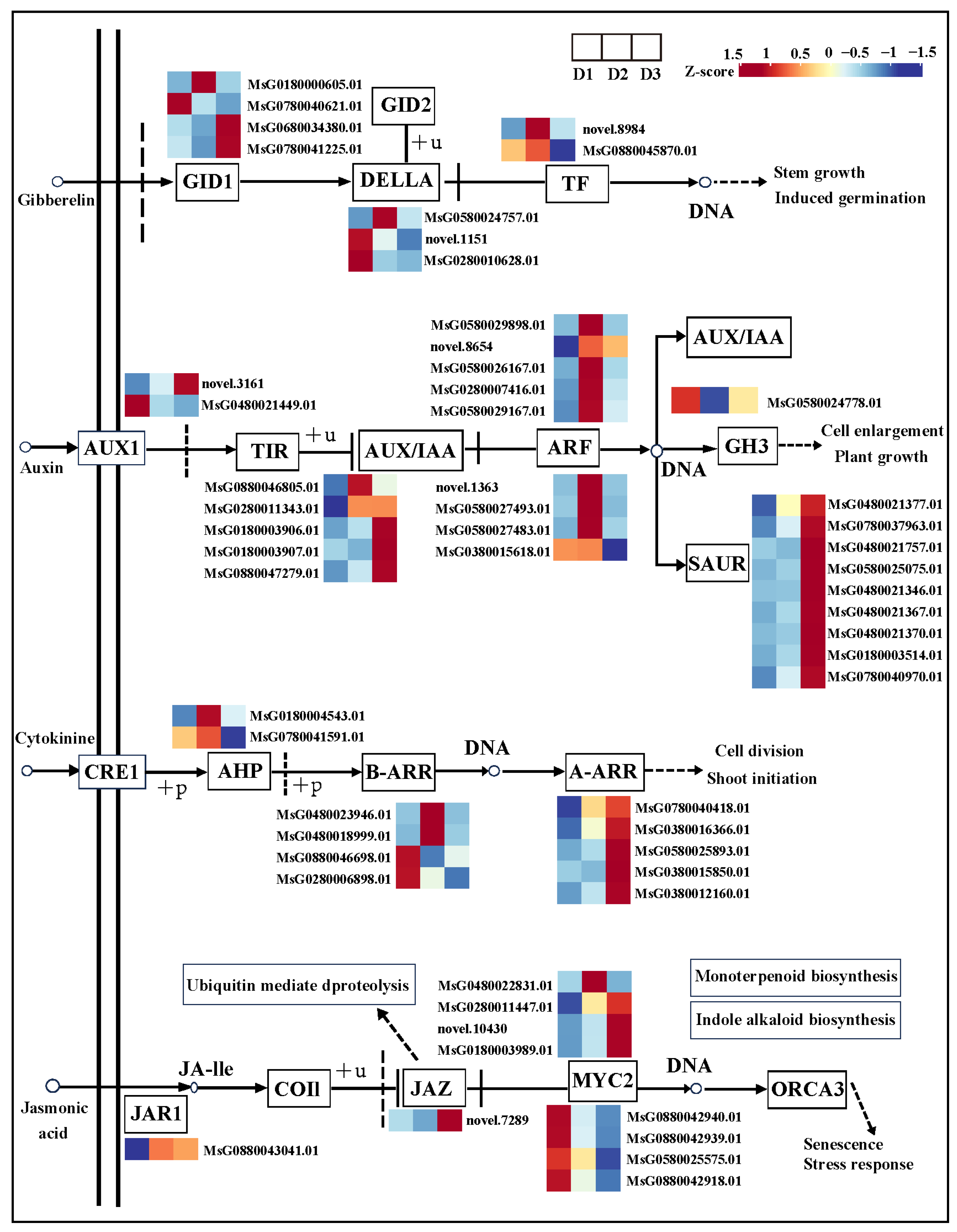 Plants 13 01078 g006 Plants 13 01078 g006