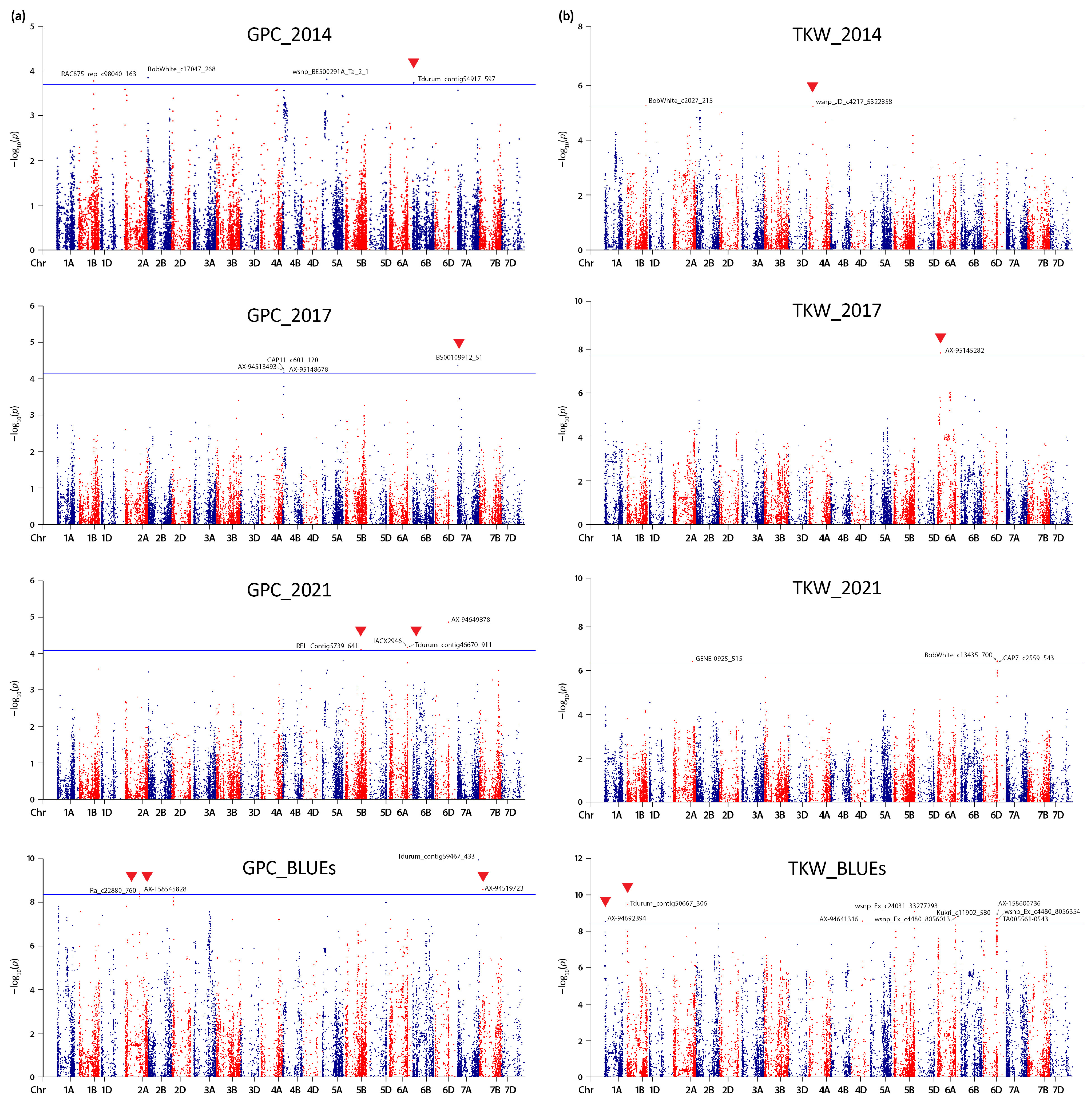 Plants 13 01084 g004