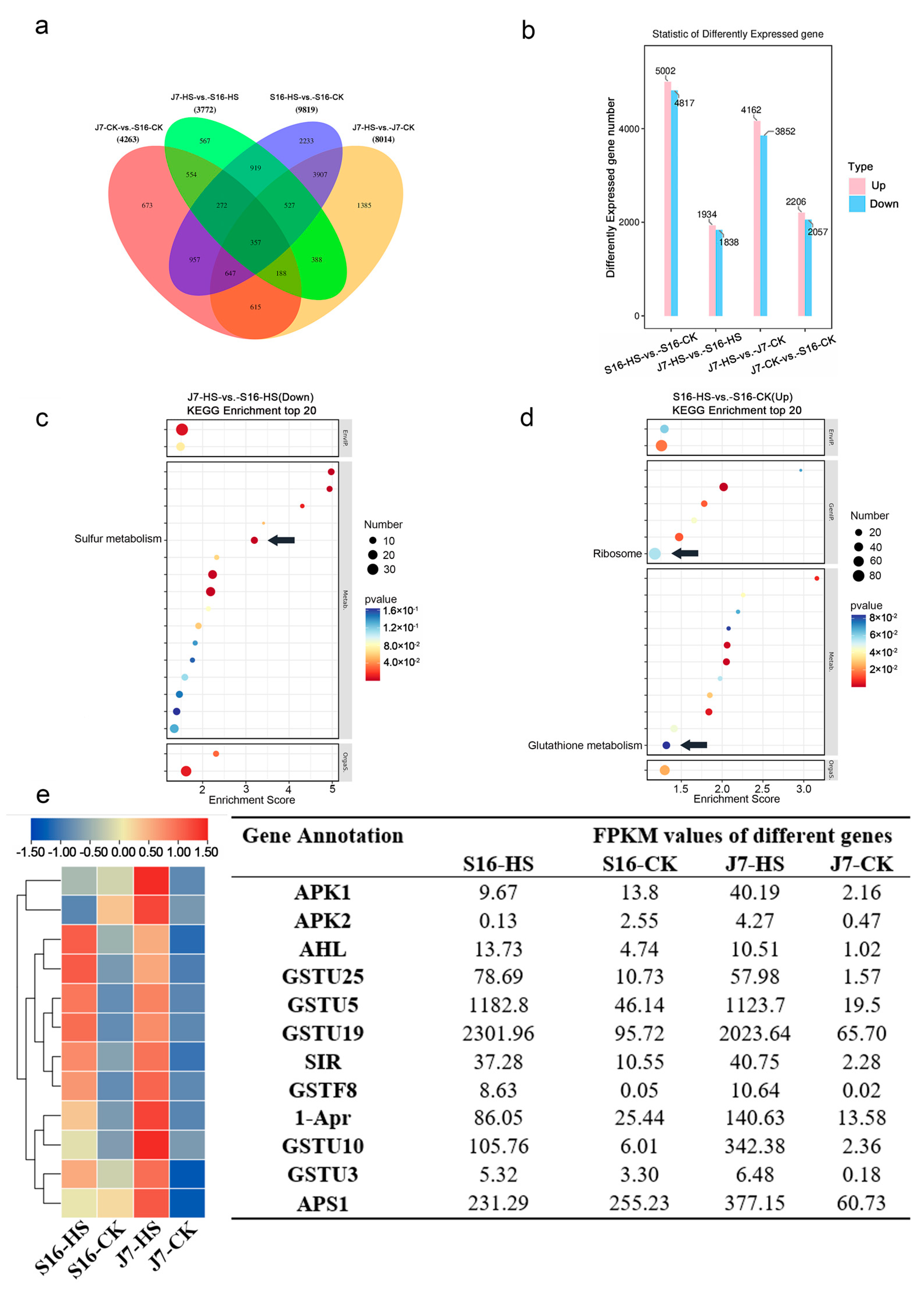 Plants 13 01093 g004